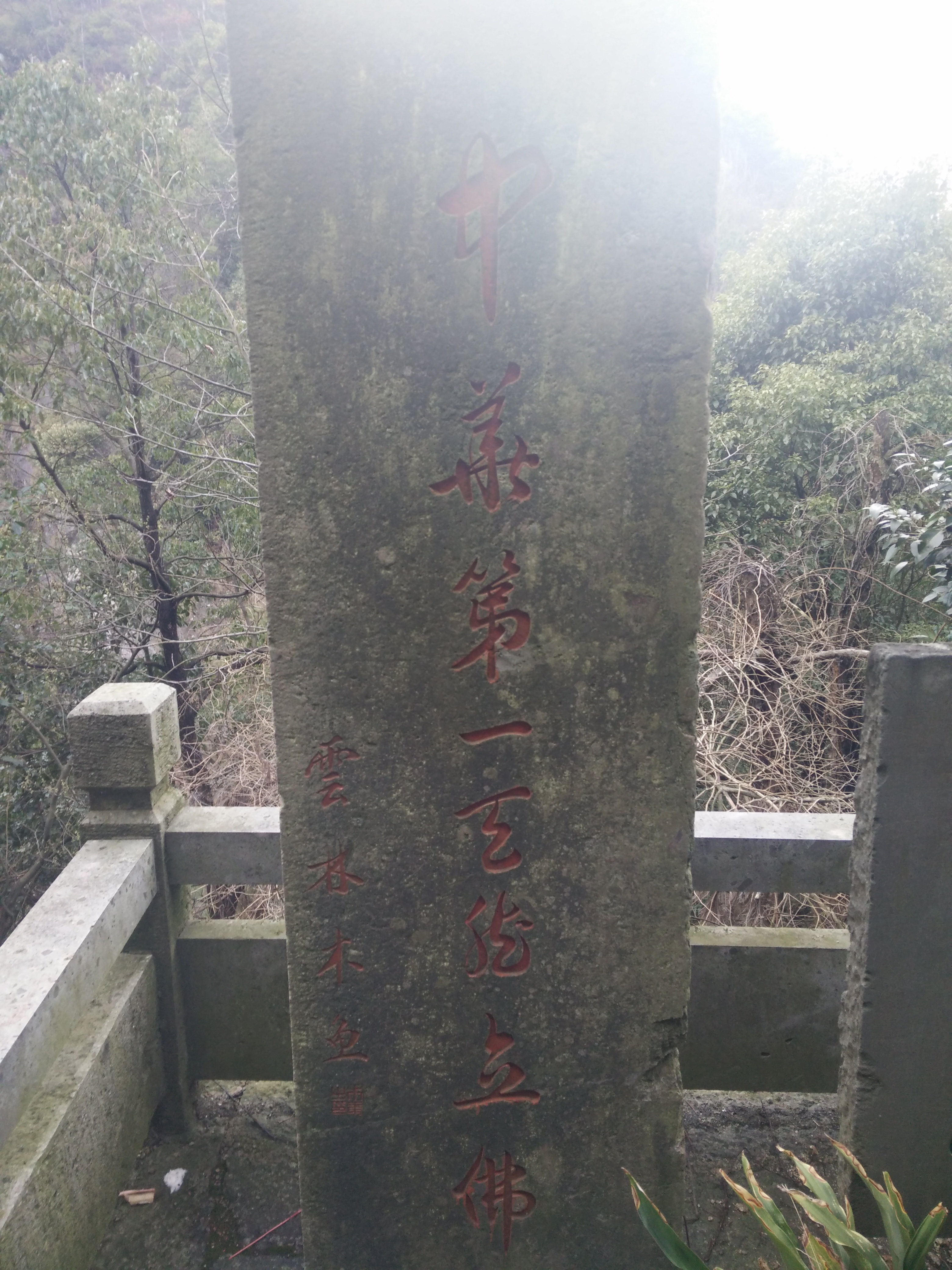 IMG20150303150901.jpg