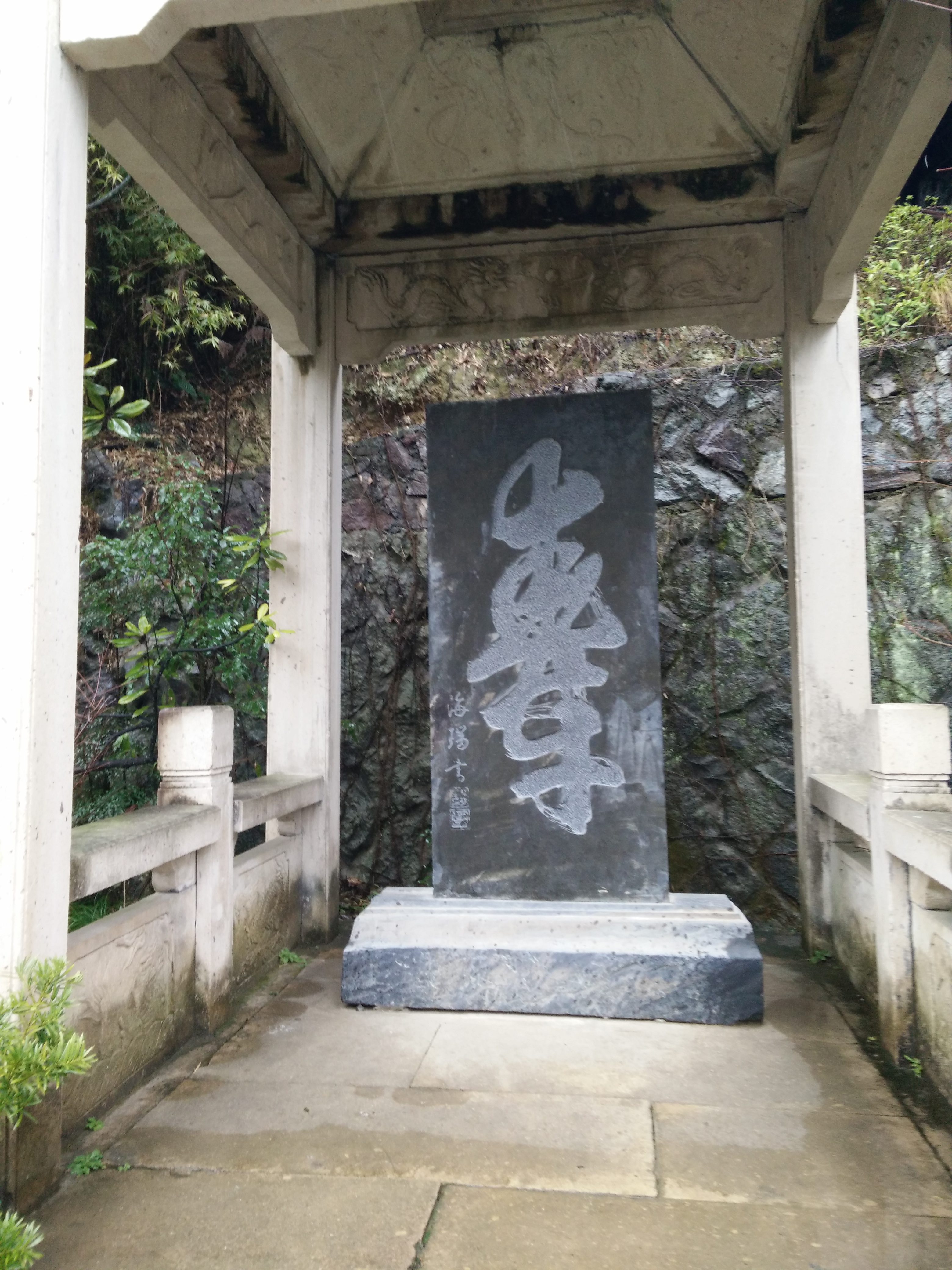 IMG20150305125043.jpg