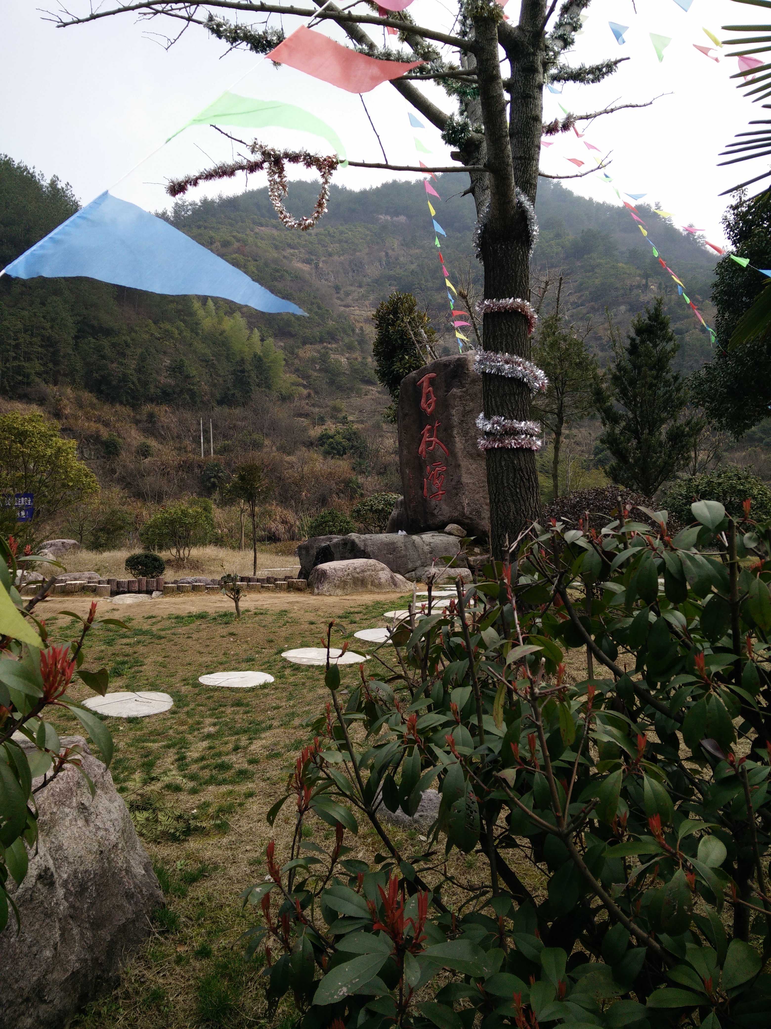 IMG20150310100858.jpg