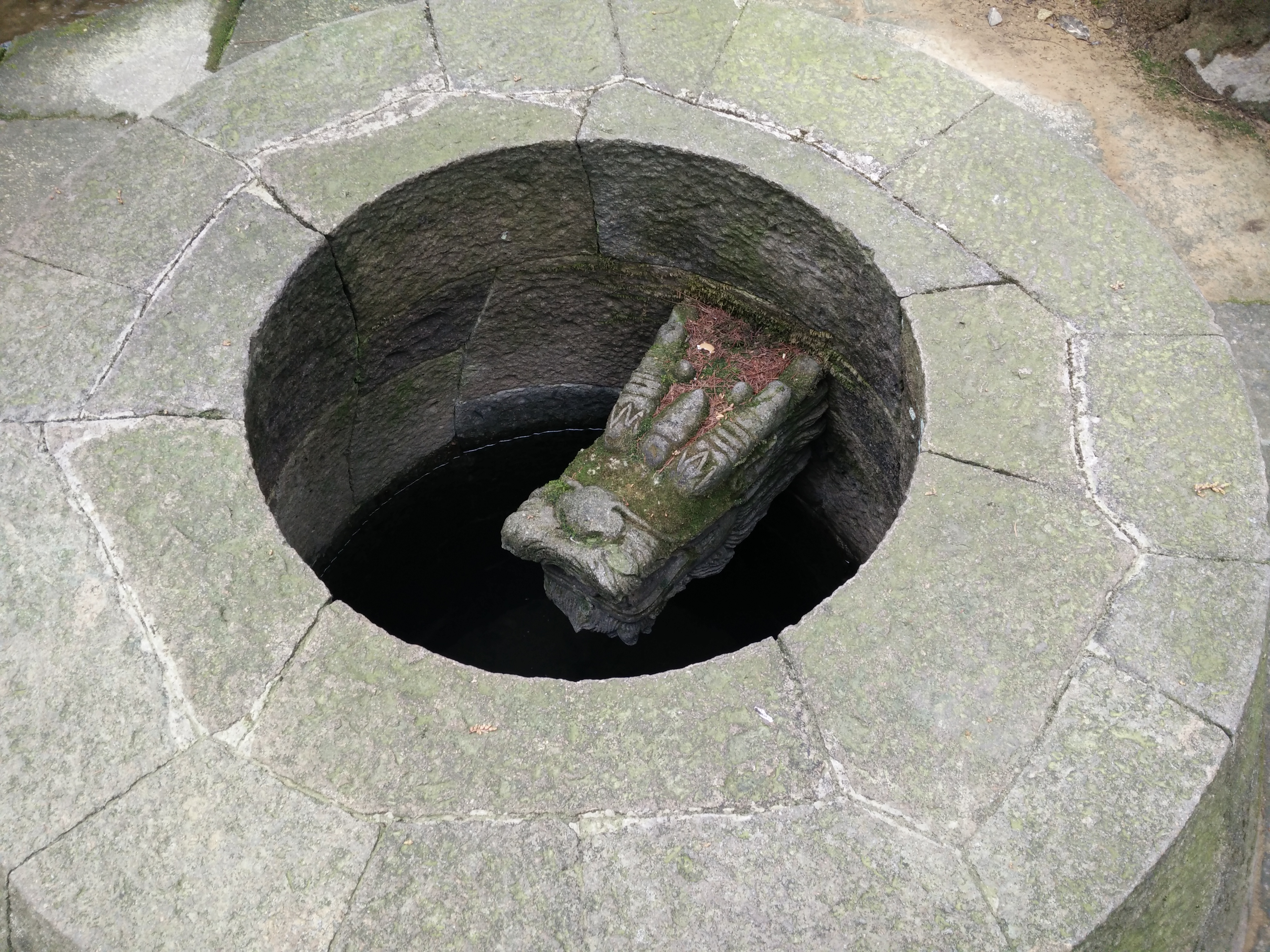IMG20150311134556.jpg