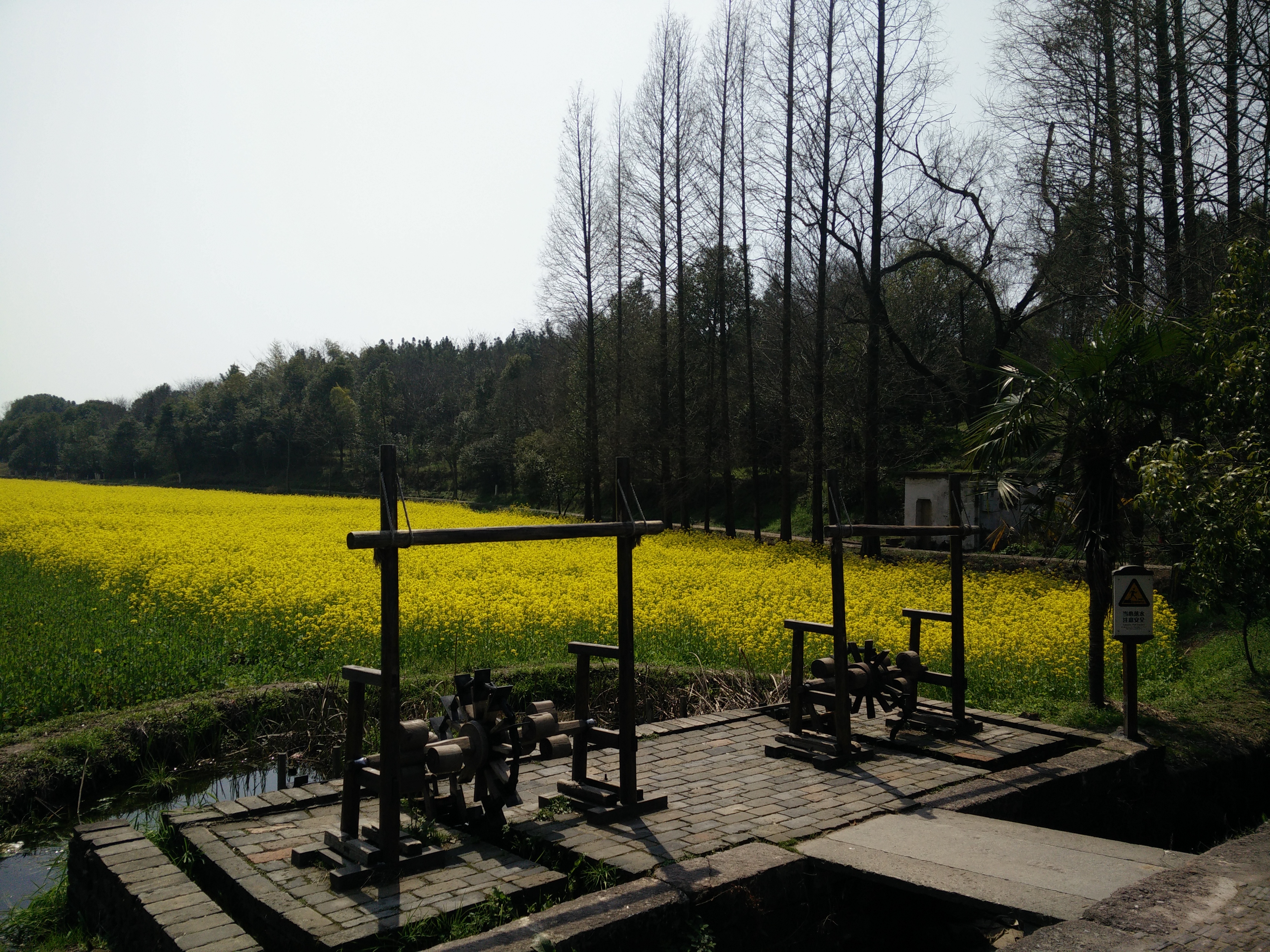 IMG20150312114814.jpg