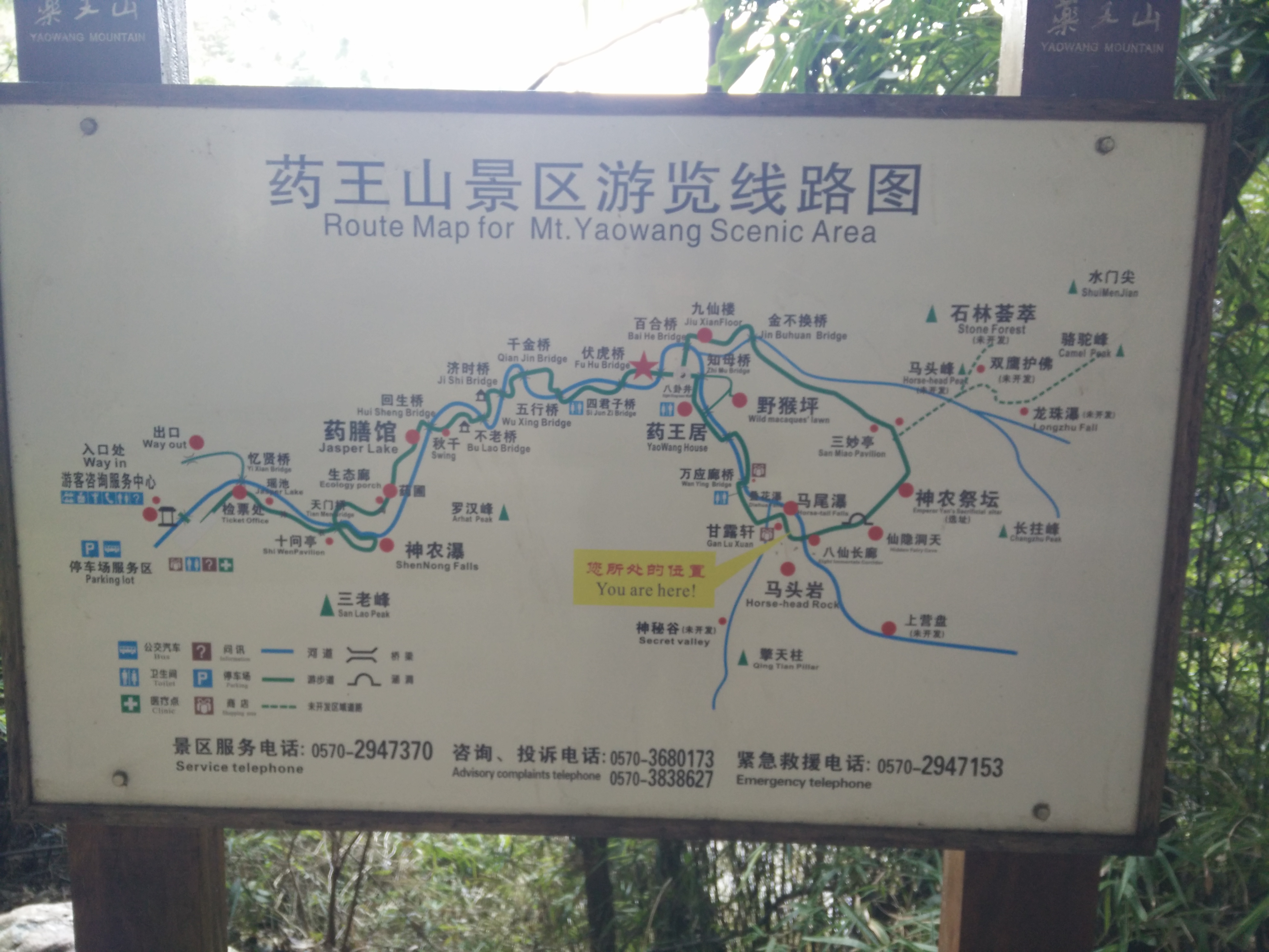 IMG20150313143145.jpg