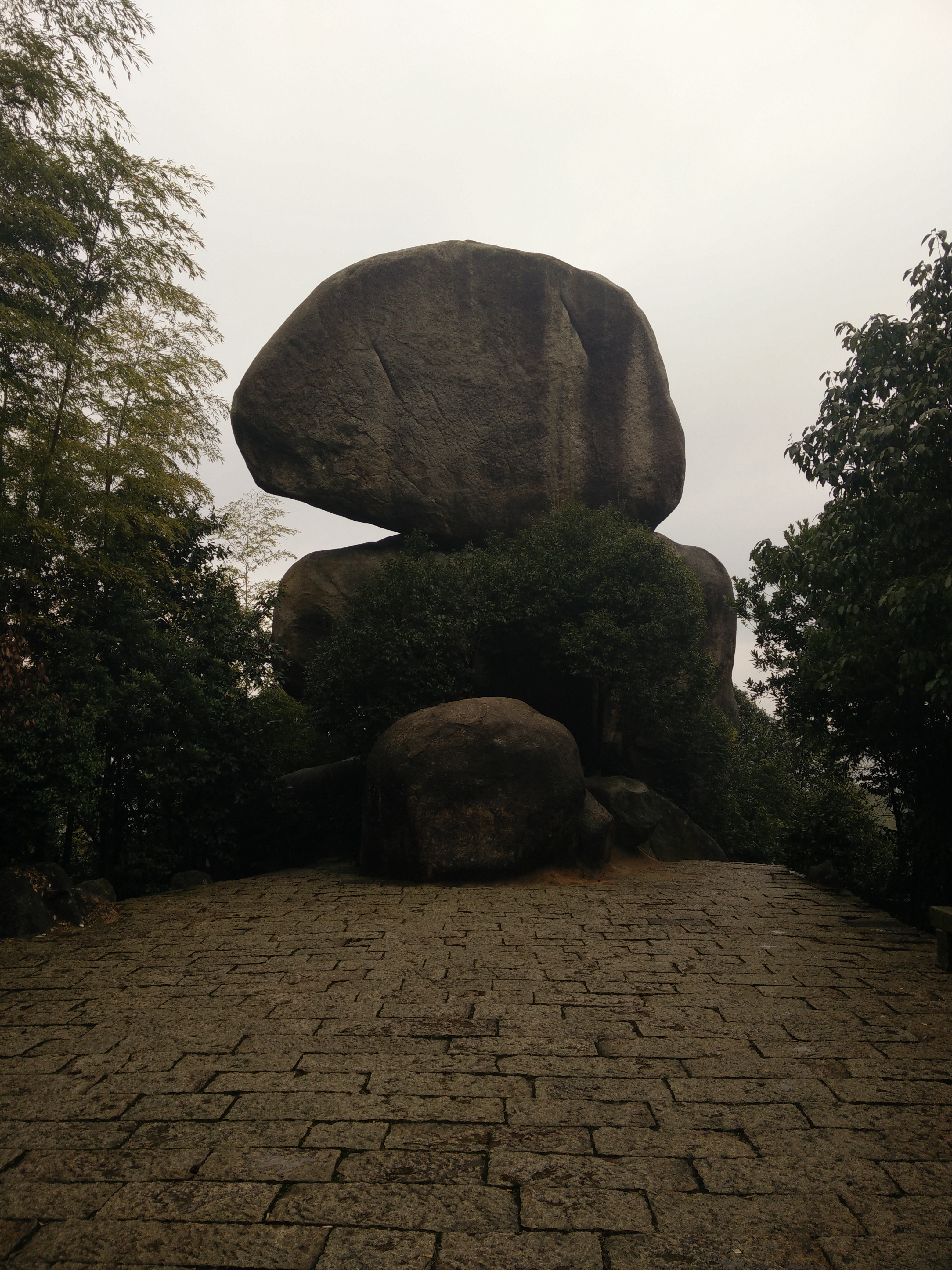 IMG20150314114624.jpg