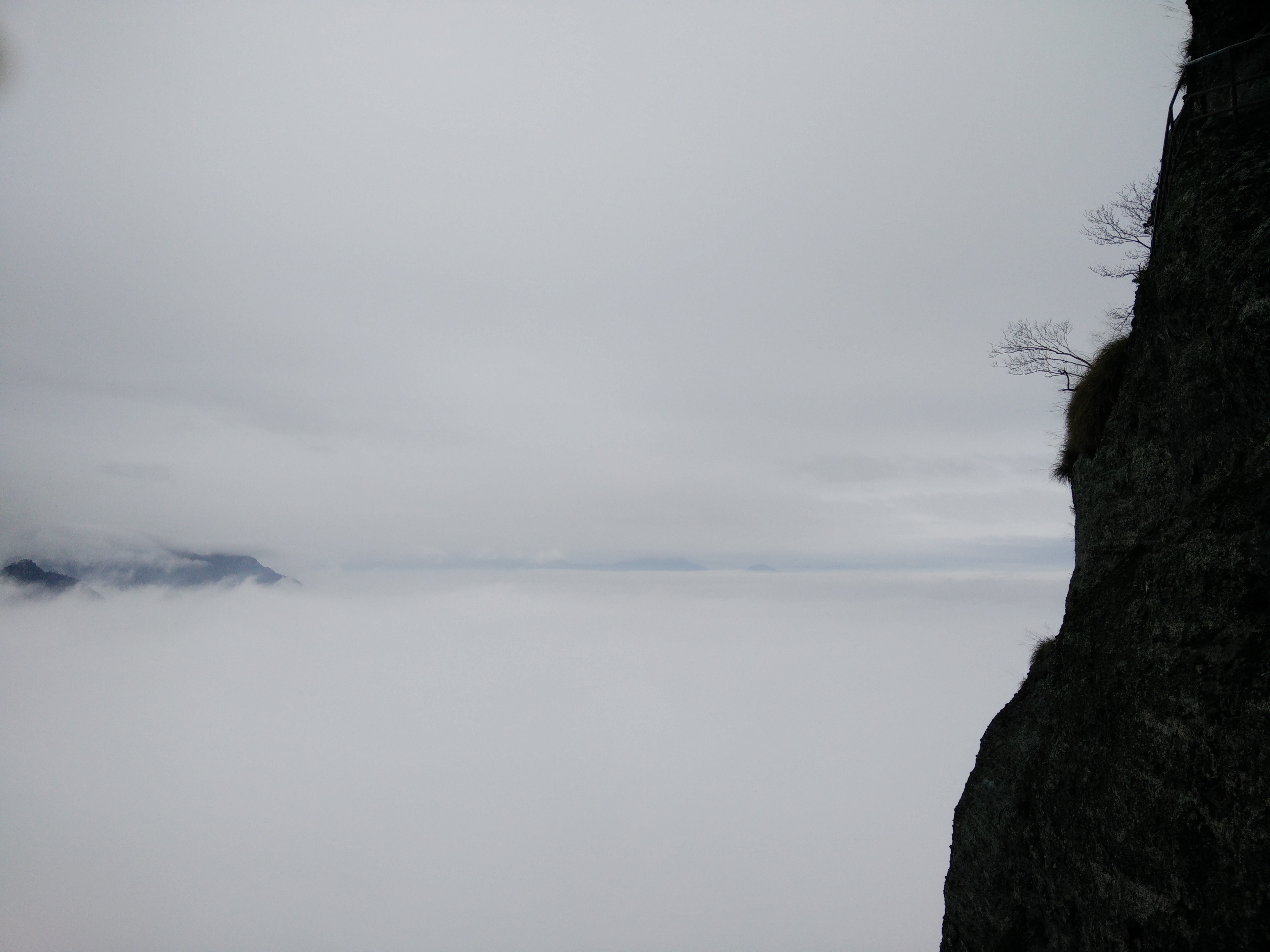IMG20150315102648.jpg