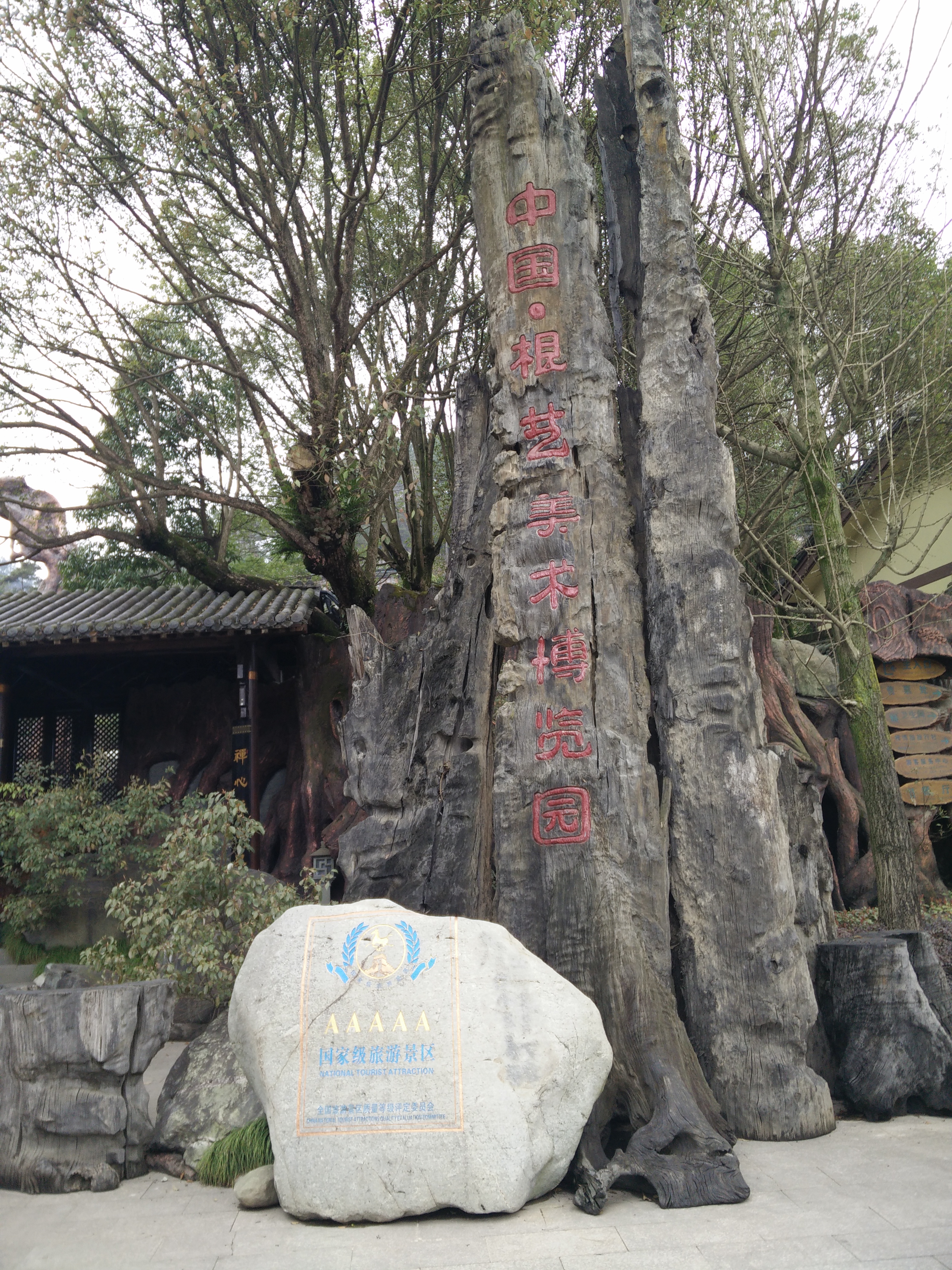 IMG20150316130016.jpg