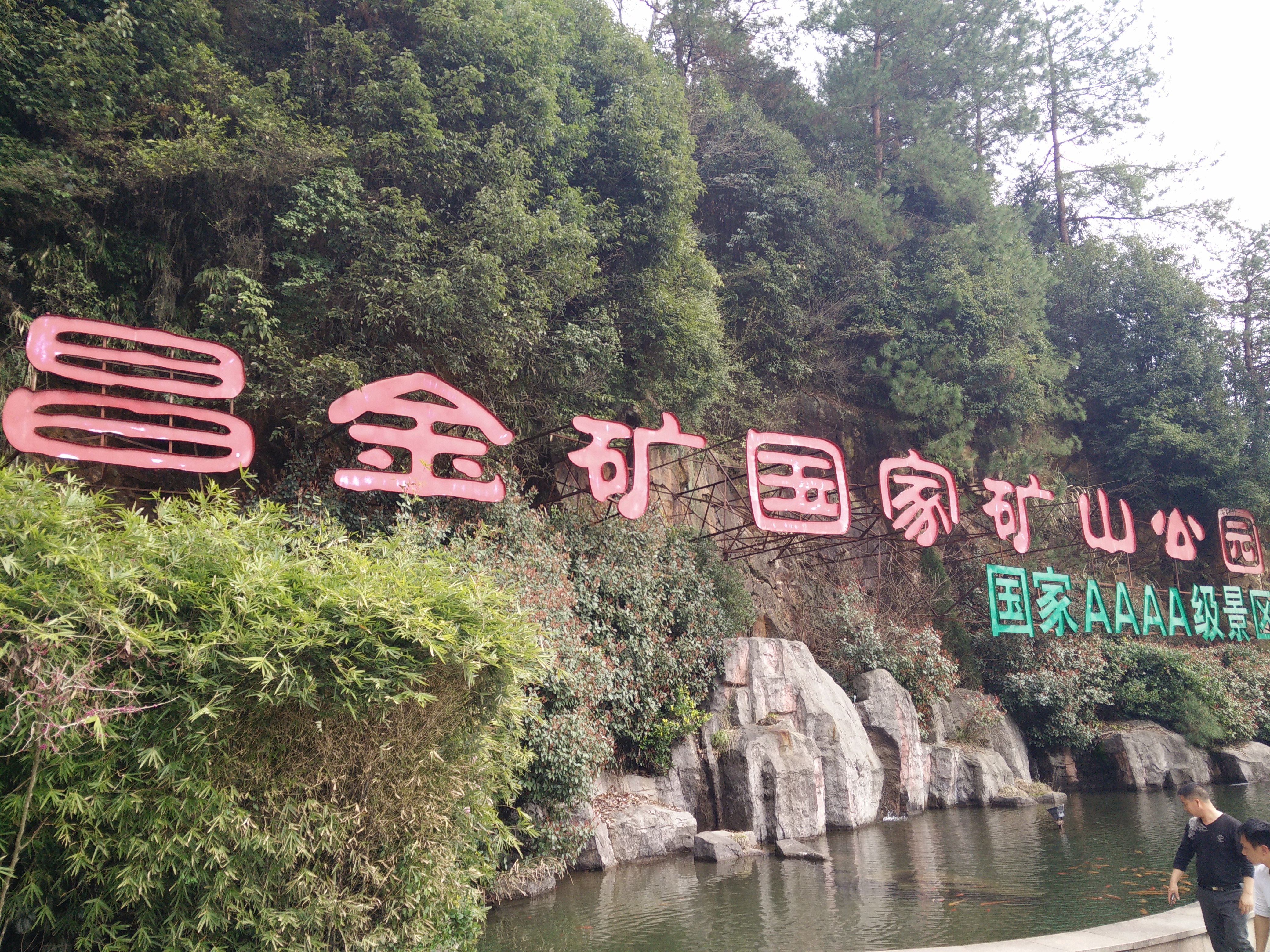 IMG20150317141211.jpg