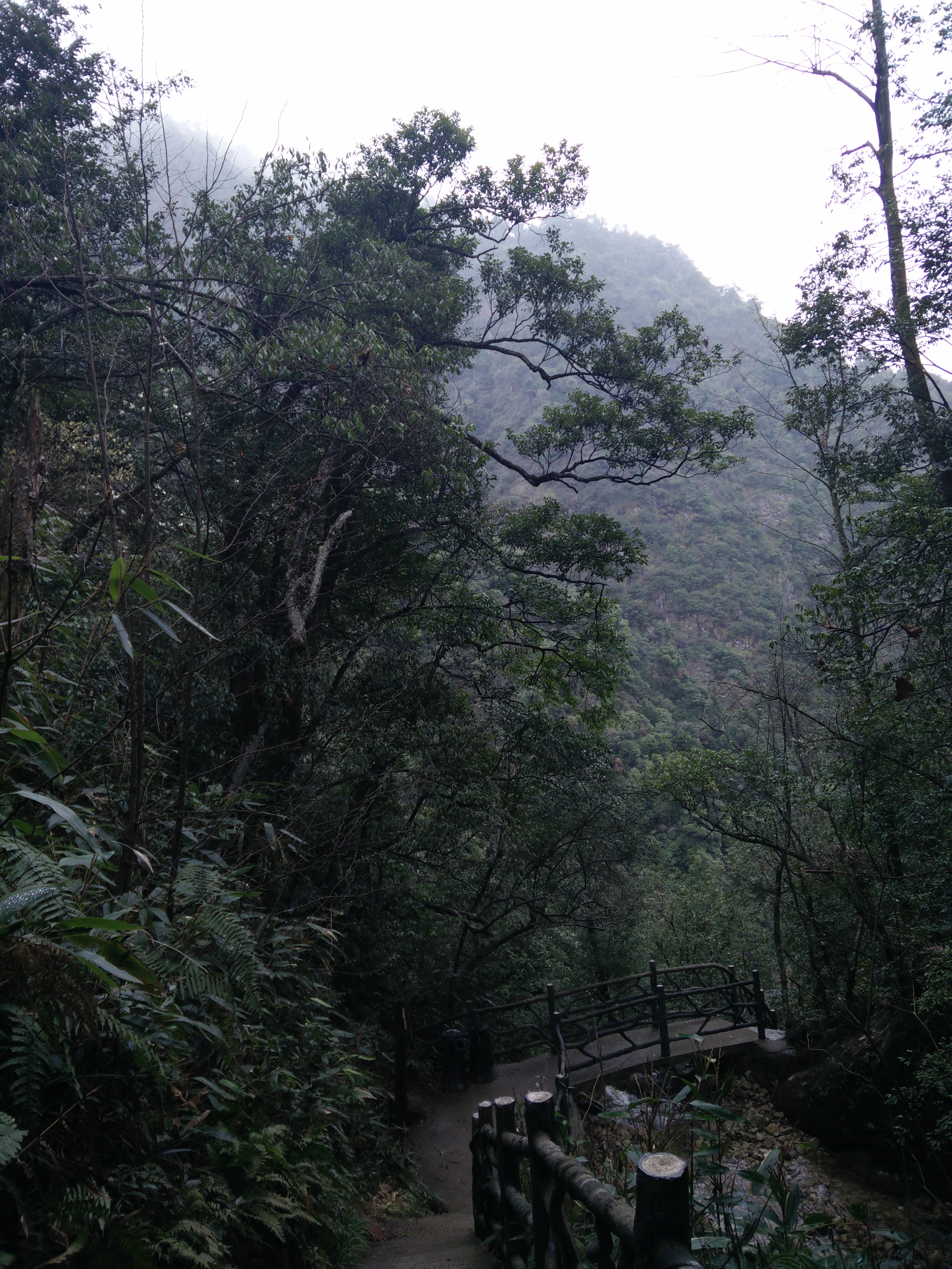 IMG20150319144918.jpg