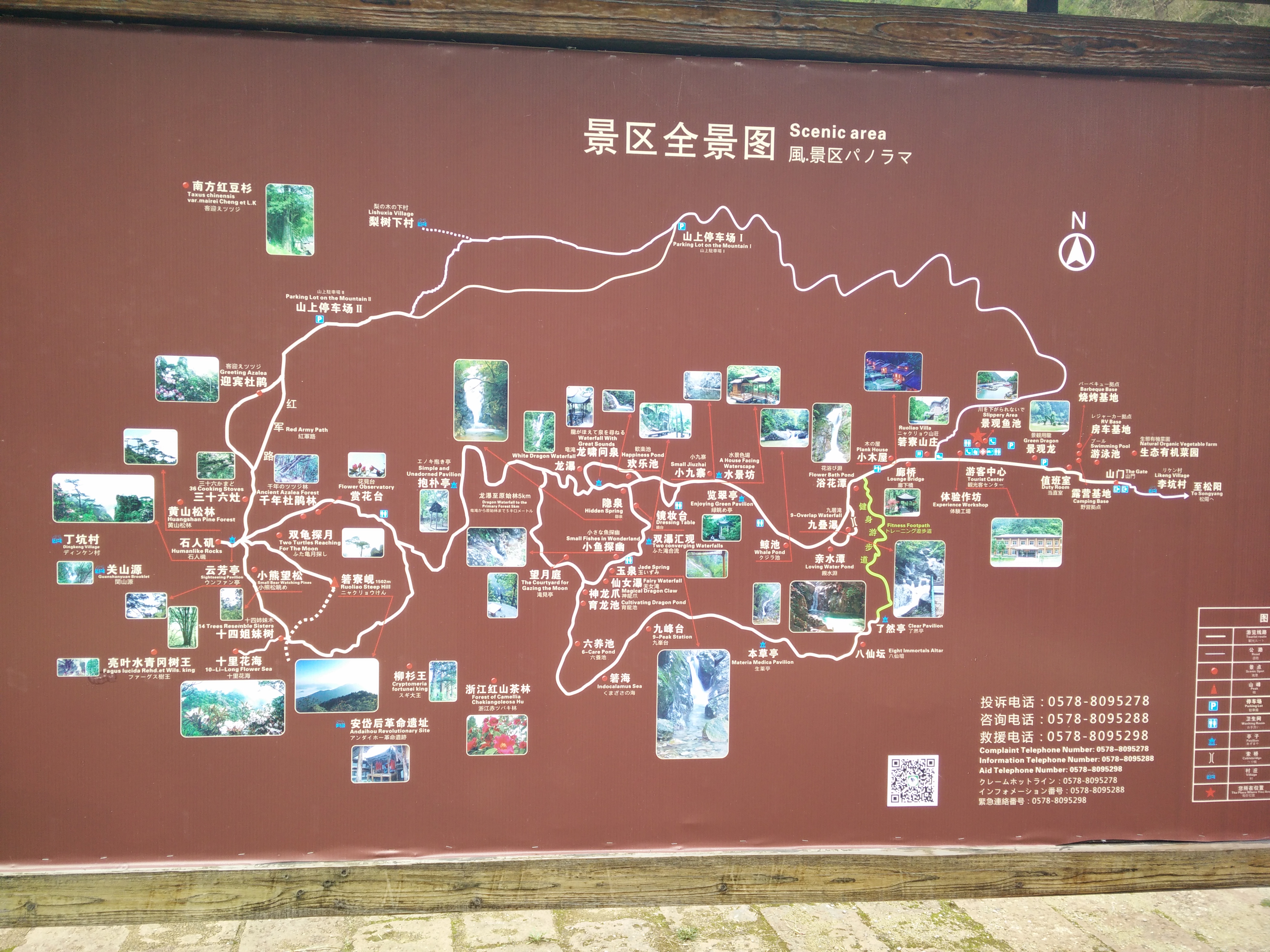 IMG20150319152618.jpg