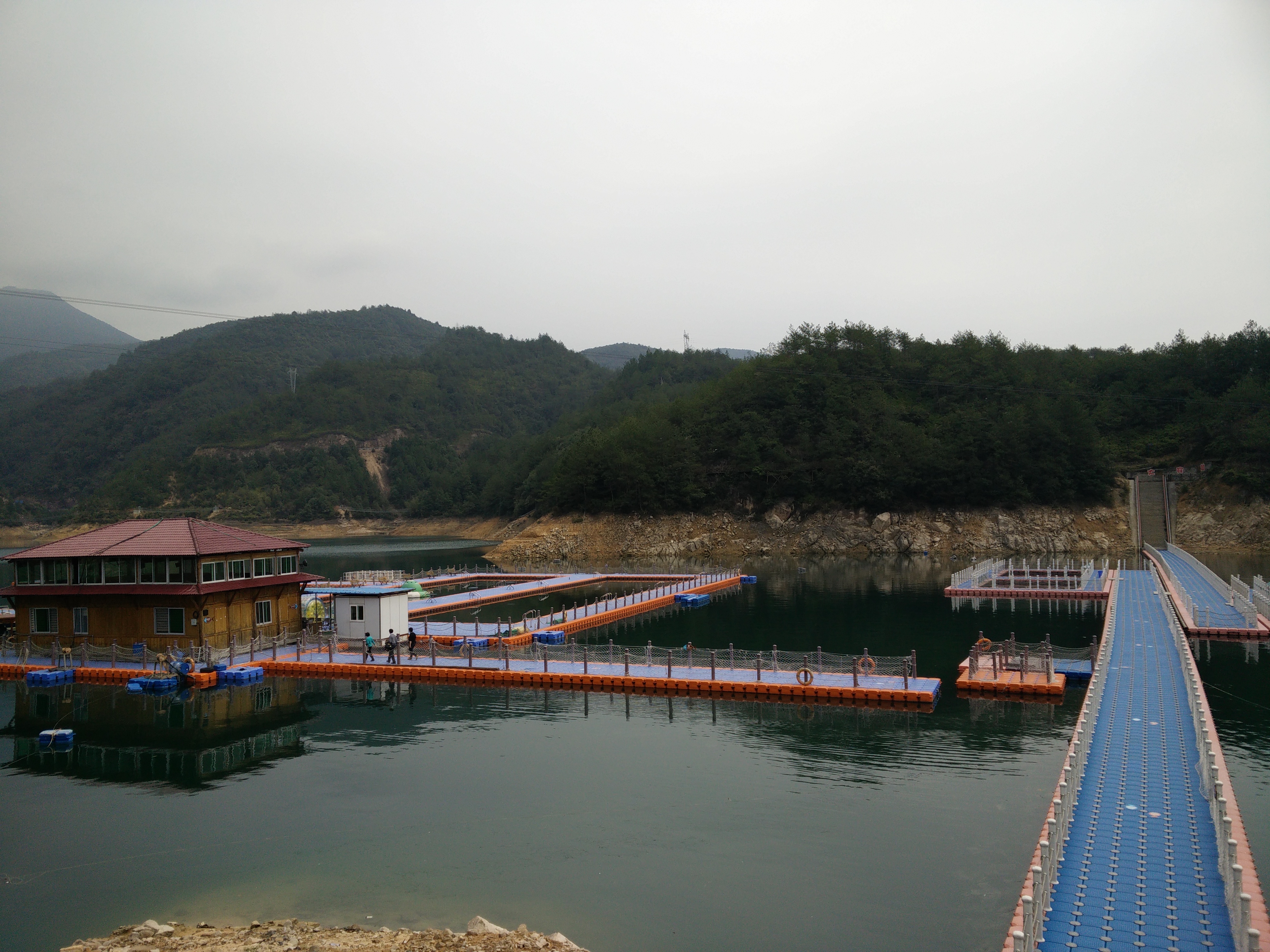 IMG20150320105118.jpg