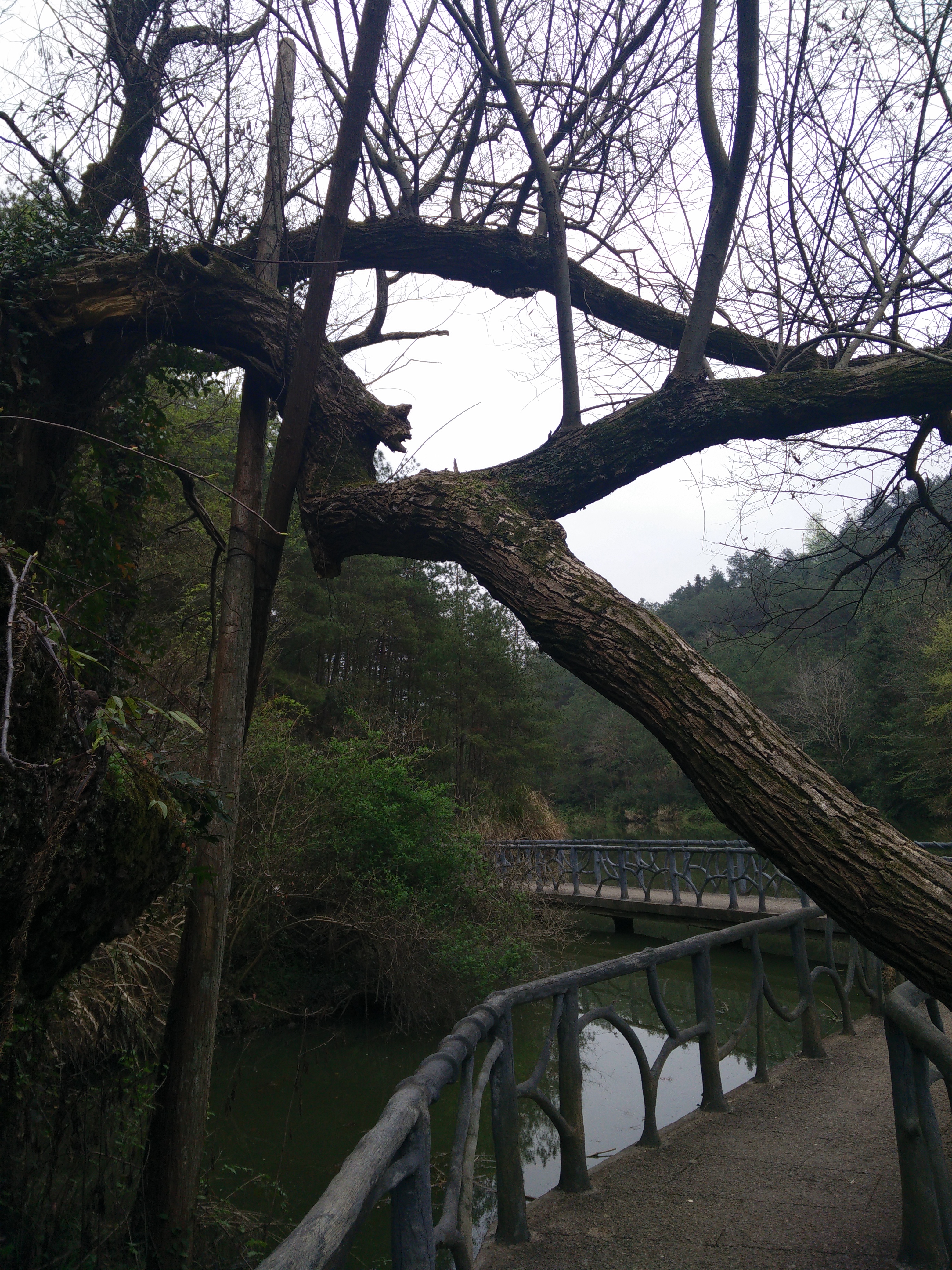 IMG20150321141255.jpg