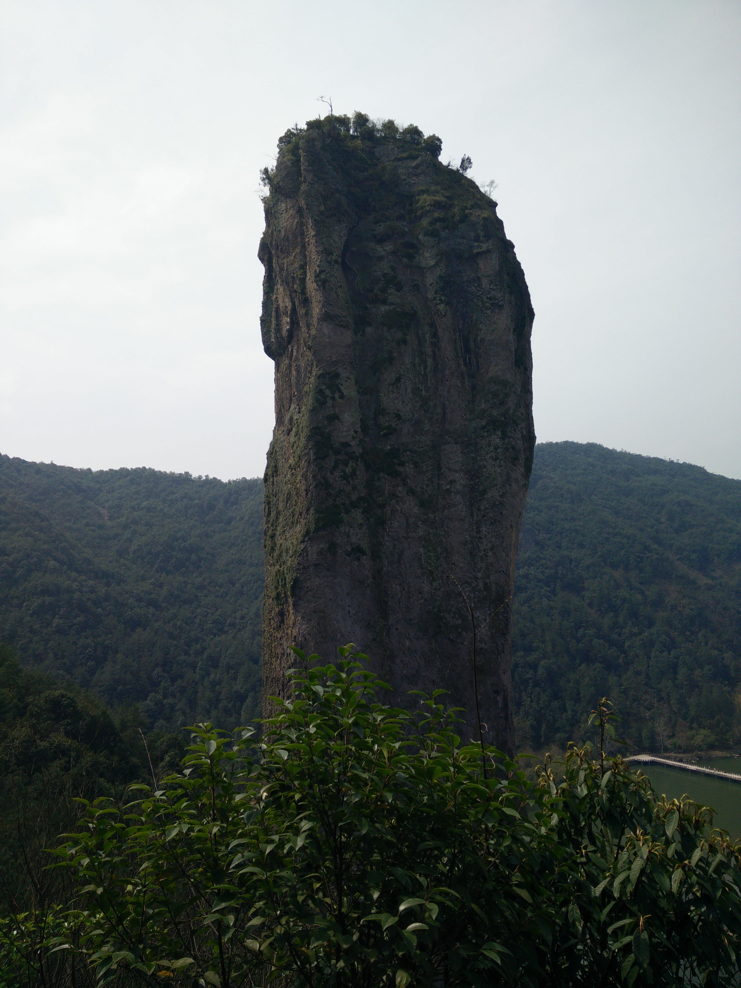 IMG20150322111507.jpg