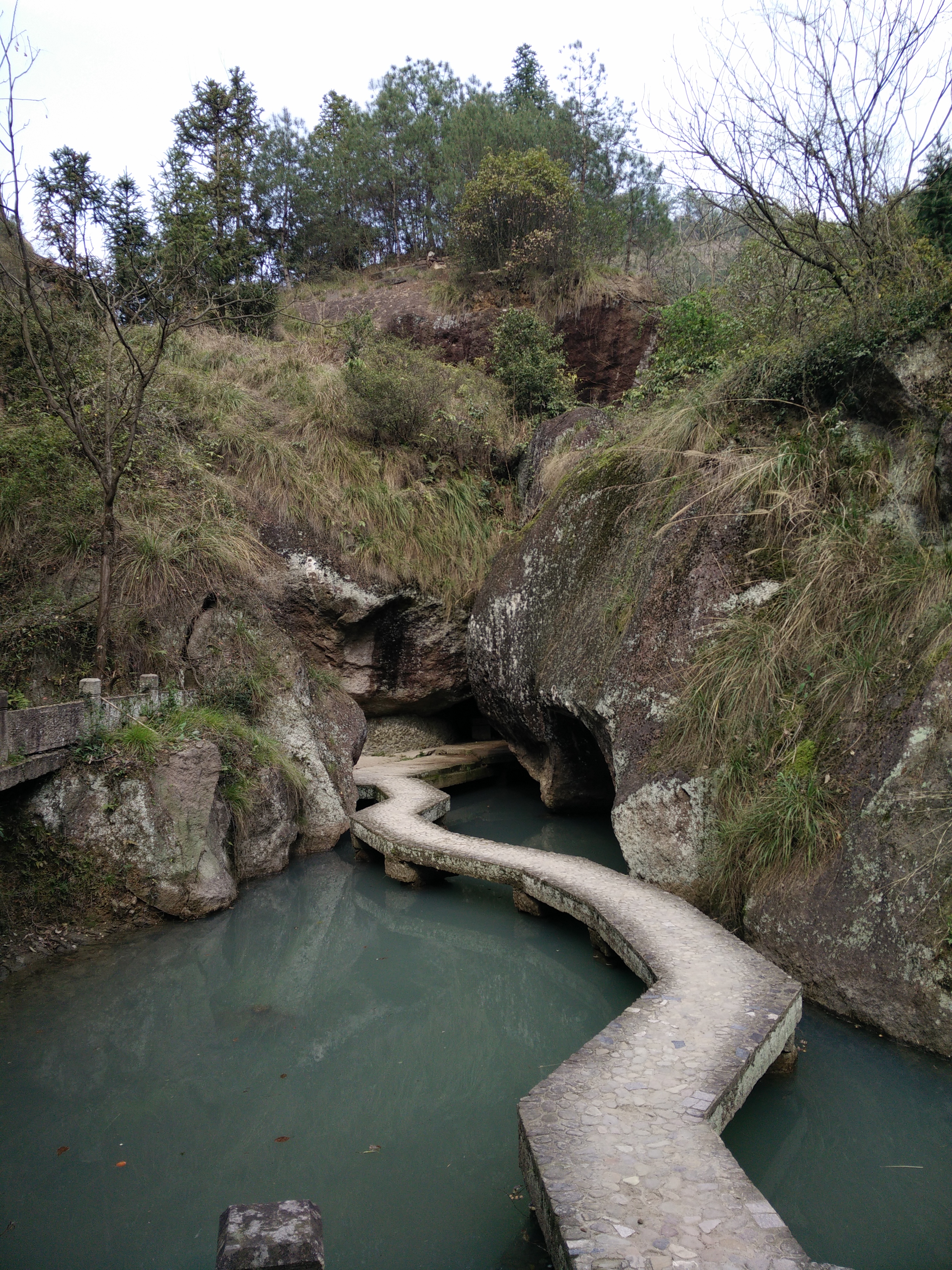 IMG20150322150123.jpg