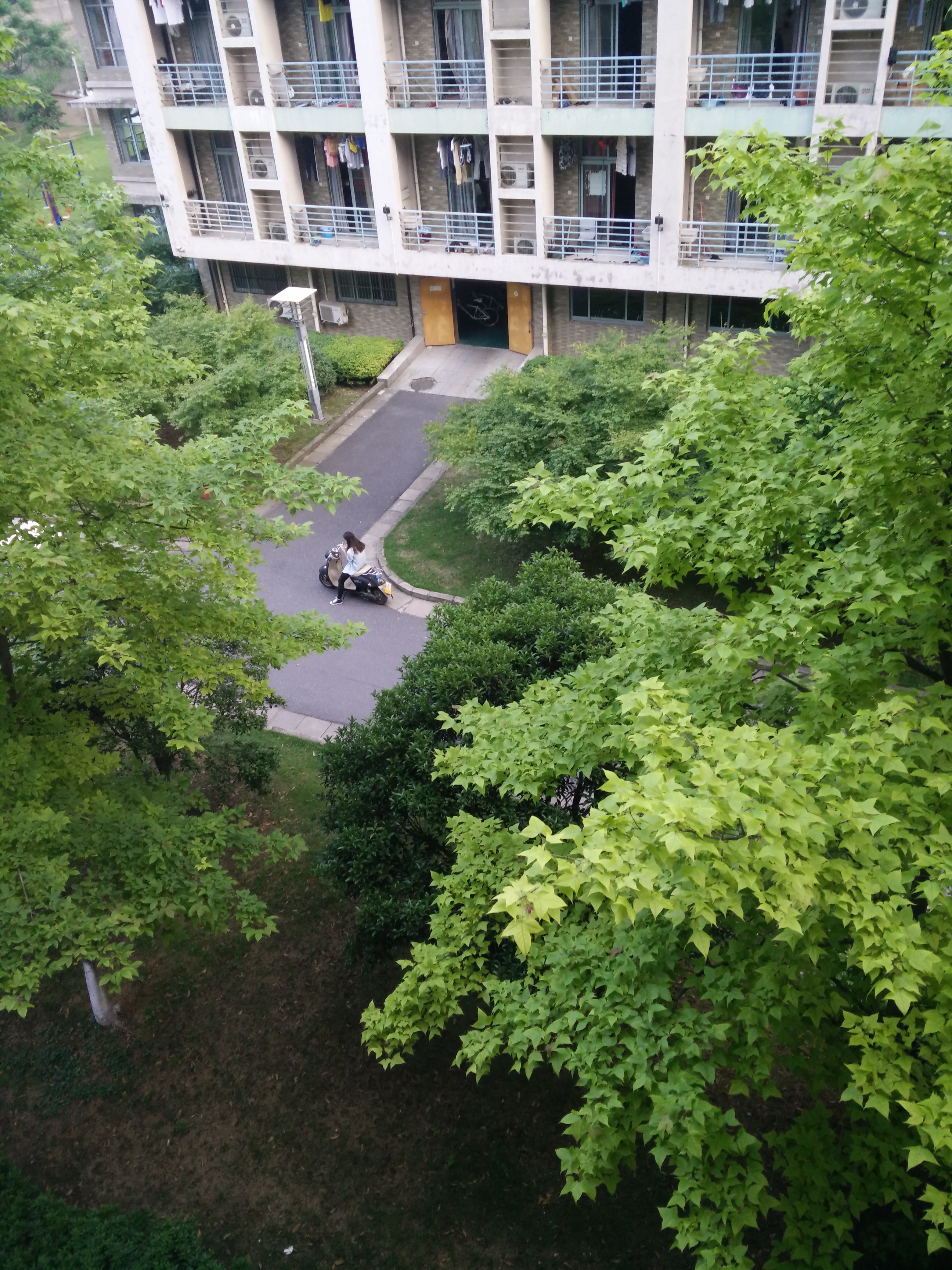 IMG20150517181717.jpg