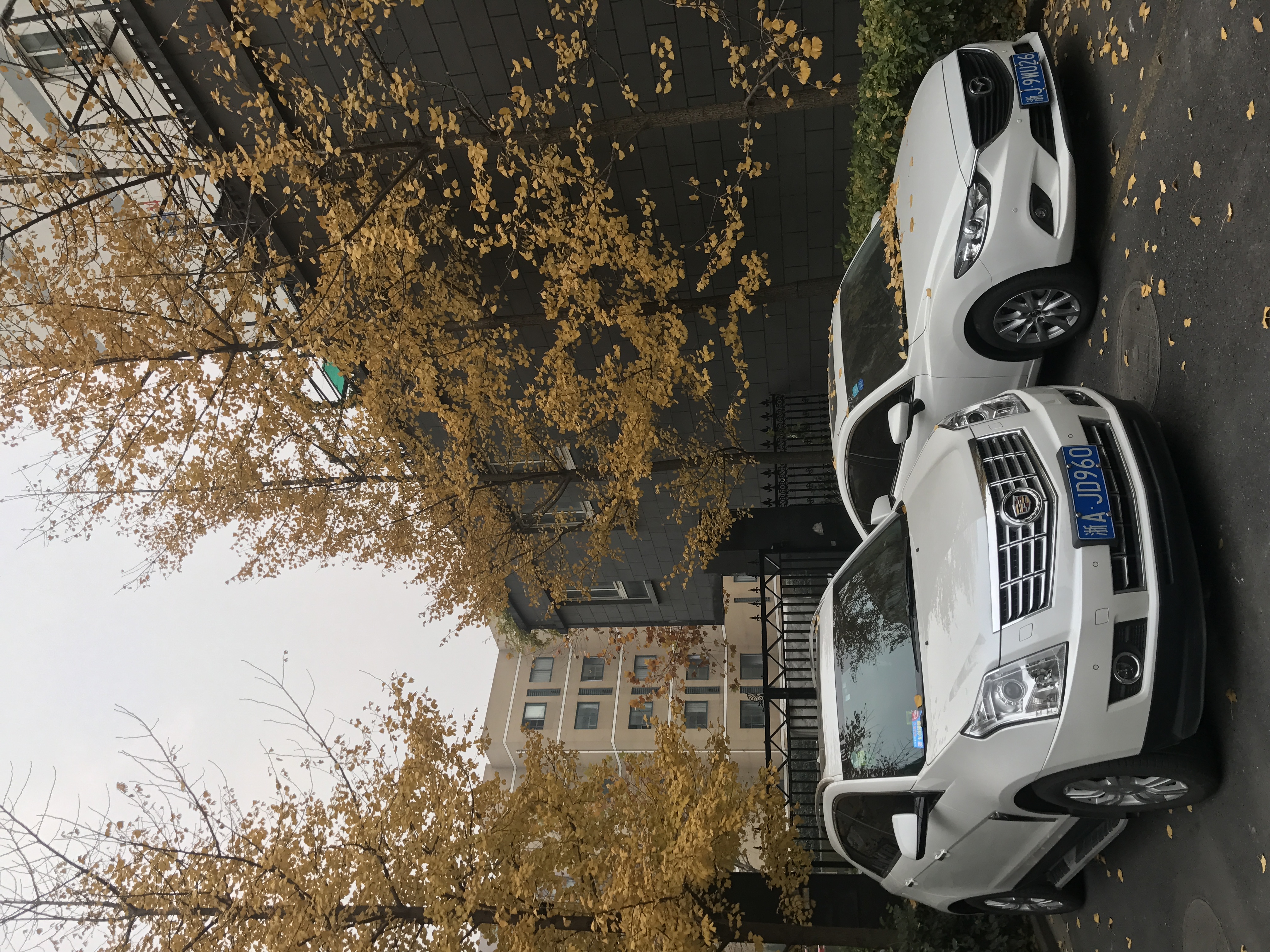 IMG_0074.jpeg