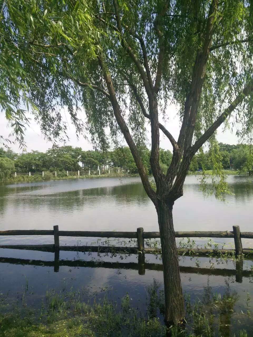 7c45be840508437f666f4ccfe34996.jpeg
