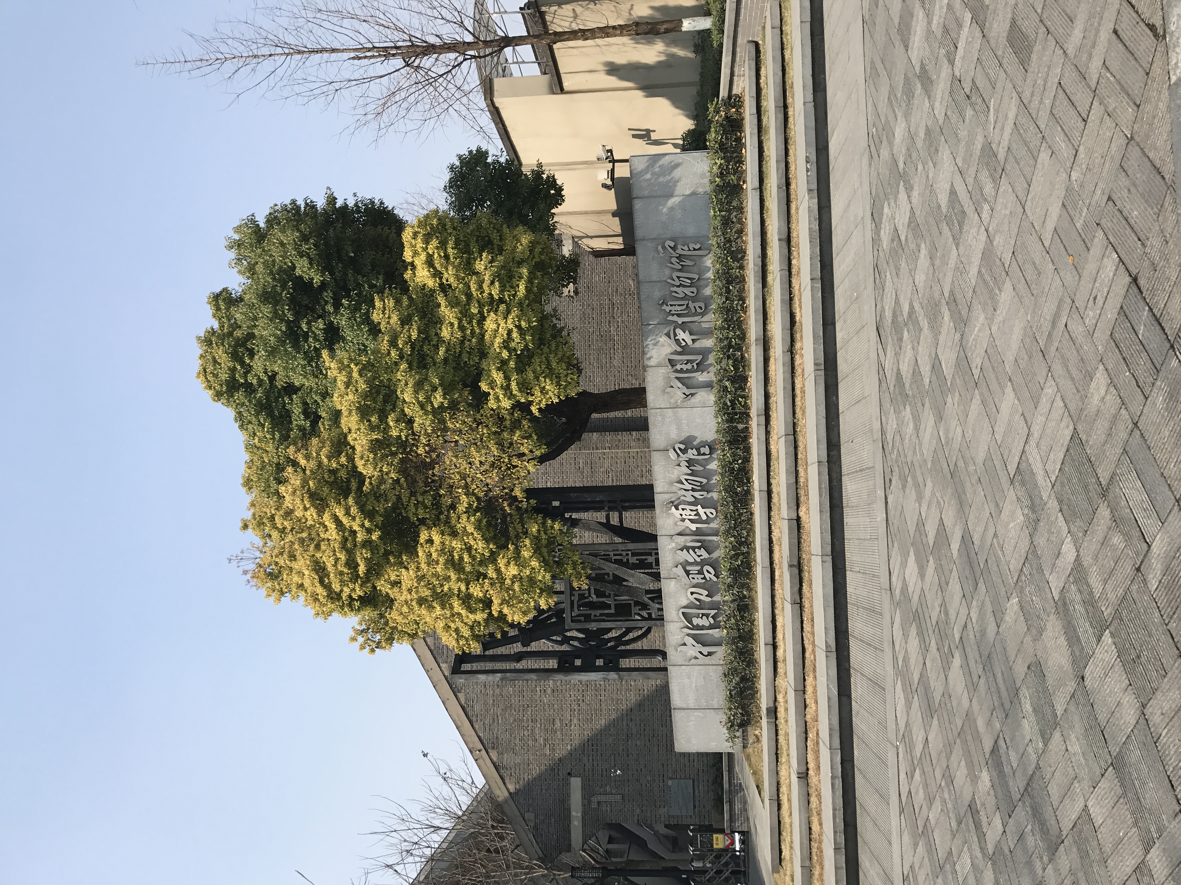 IMG_1004.jpeg