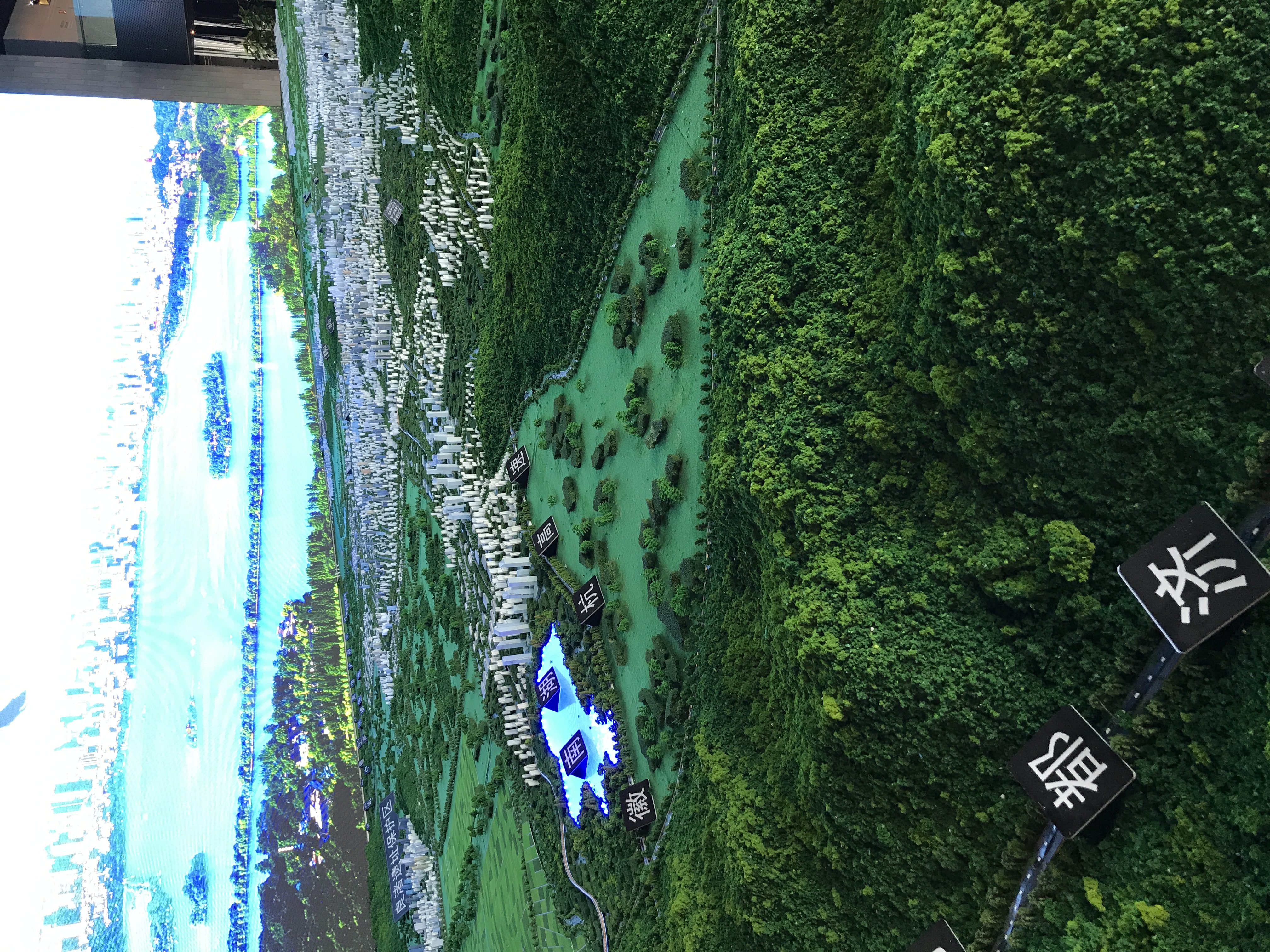 IMG_1124.jpeg