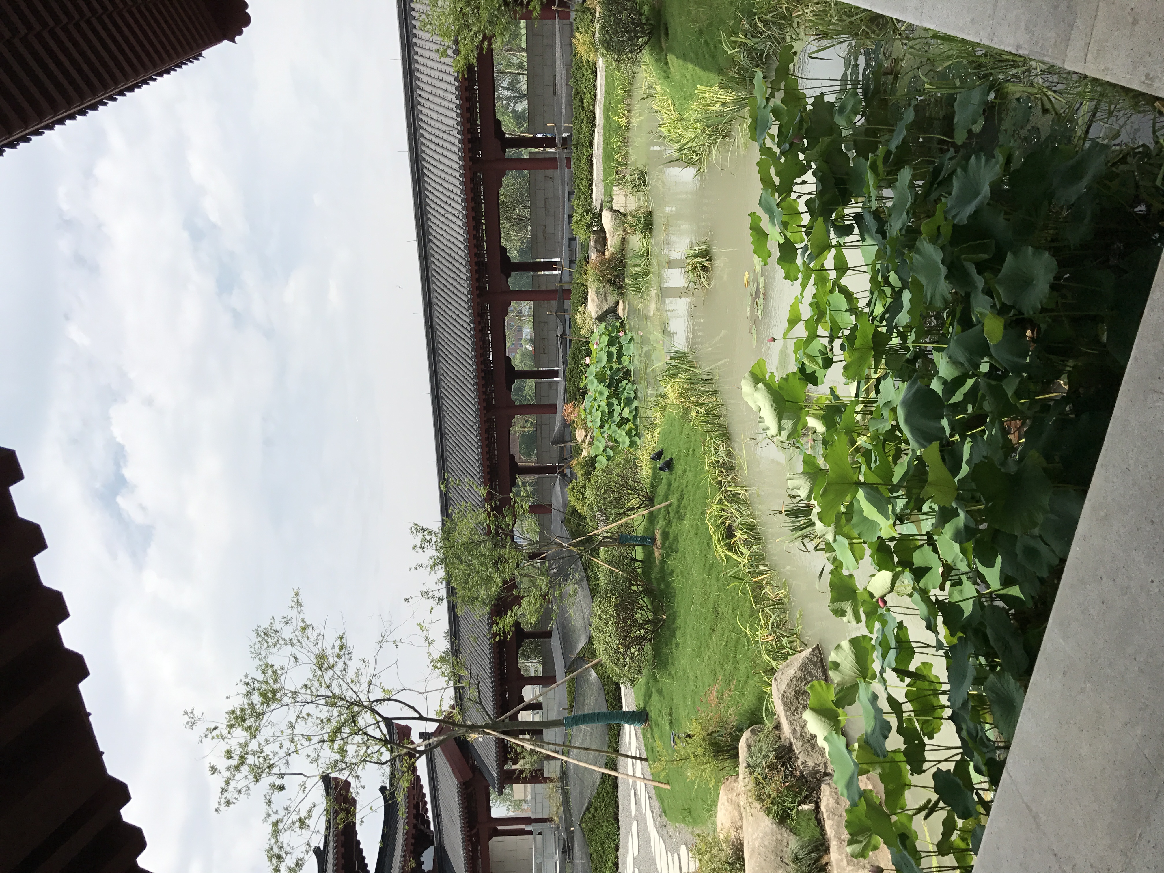 IMG_1224.jpeg