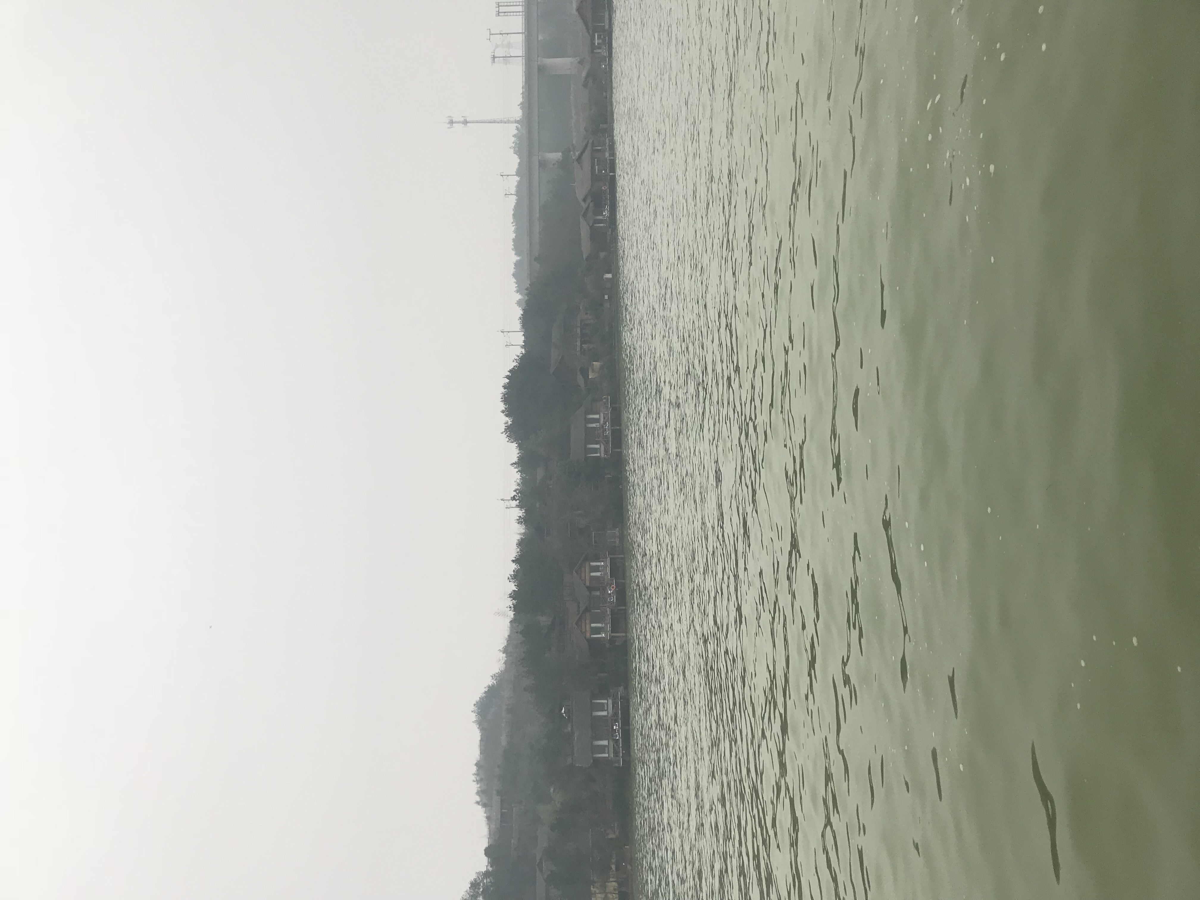 IMG_2304.jpeg