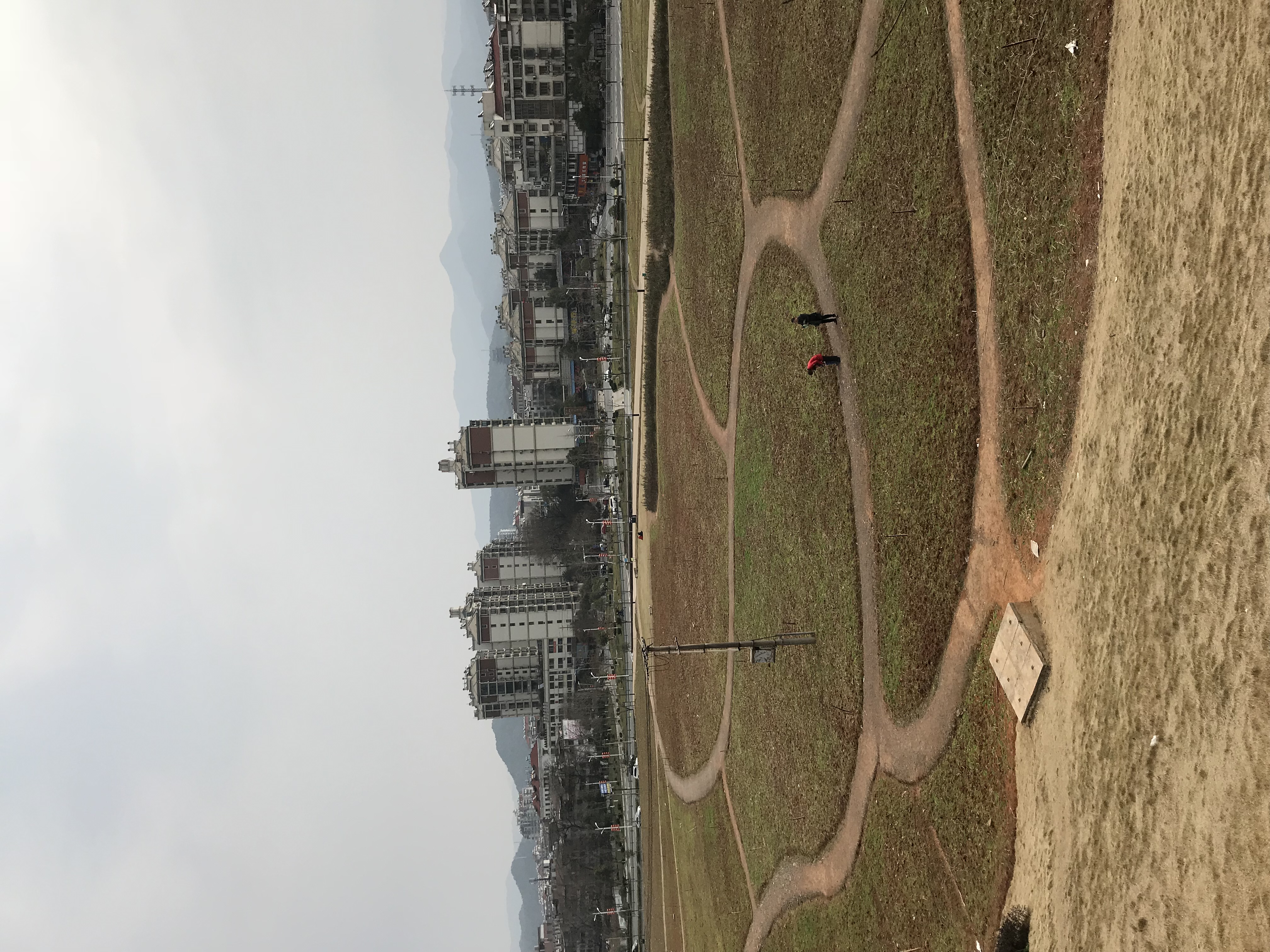 IMG_2317.jpeg