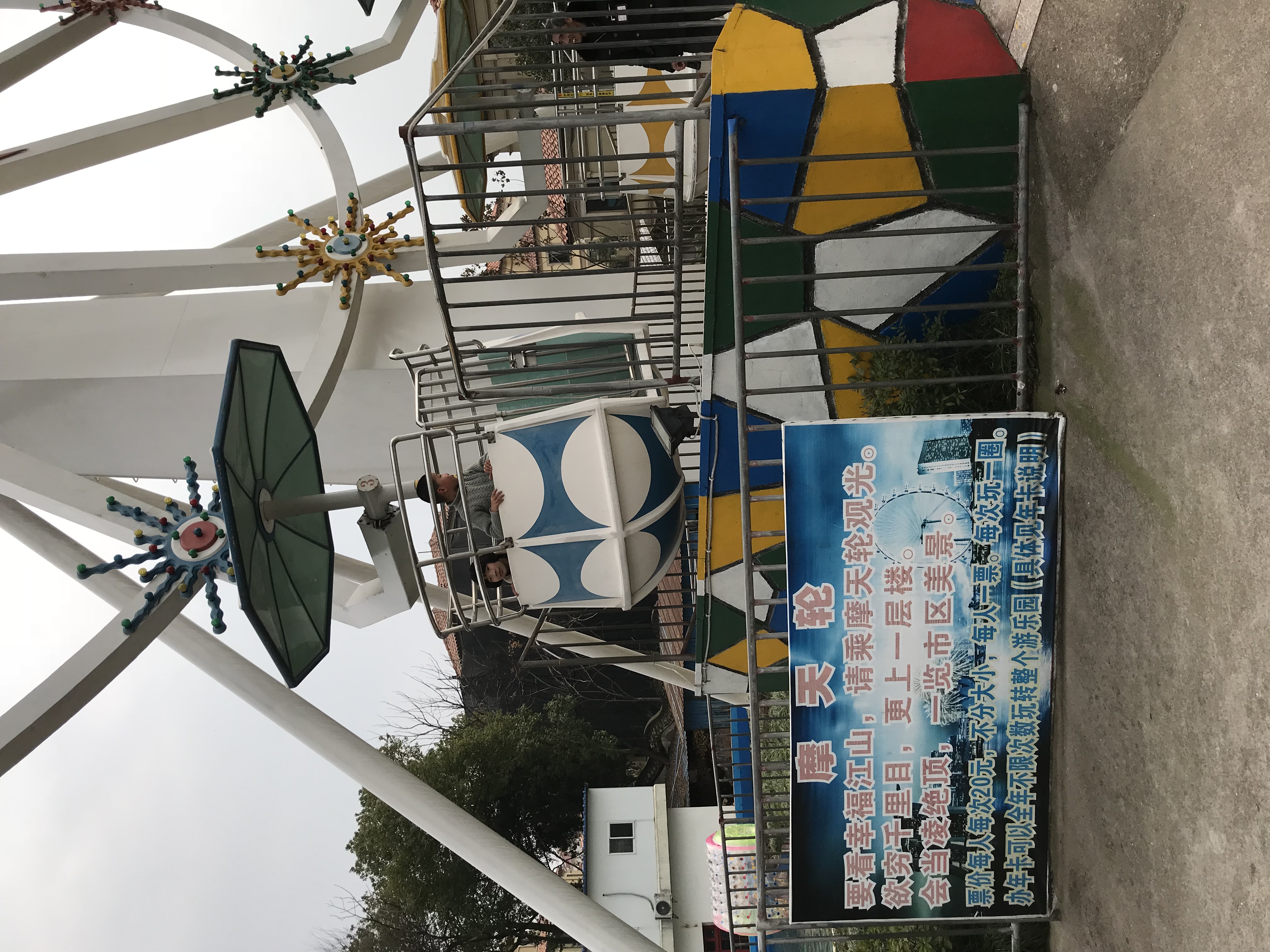 IMG_2321.jpeg