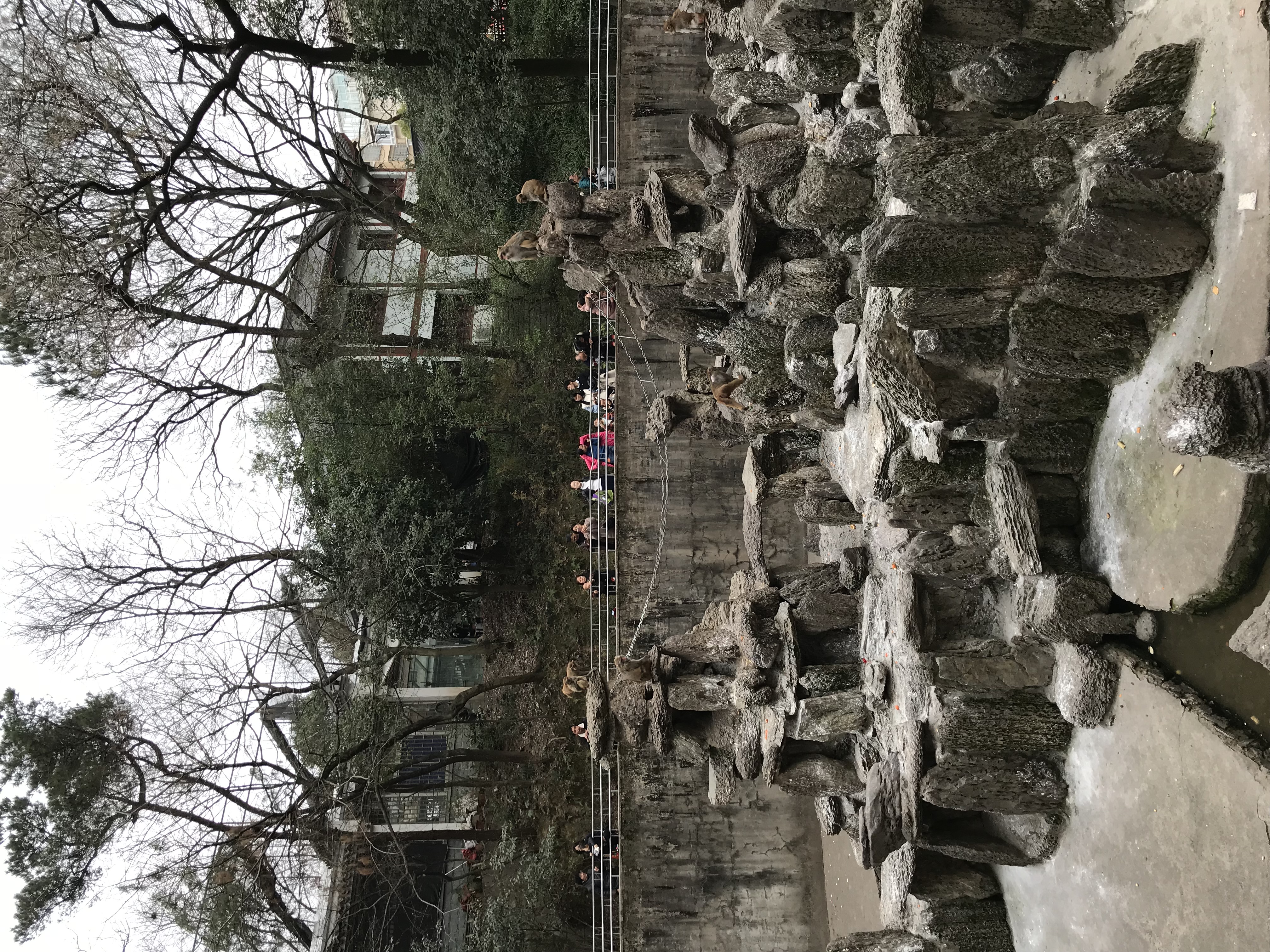 IMG_2323.jpeg