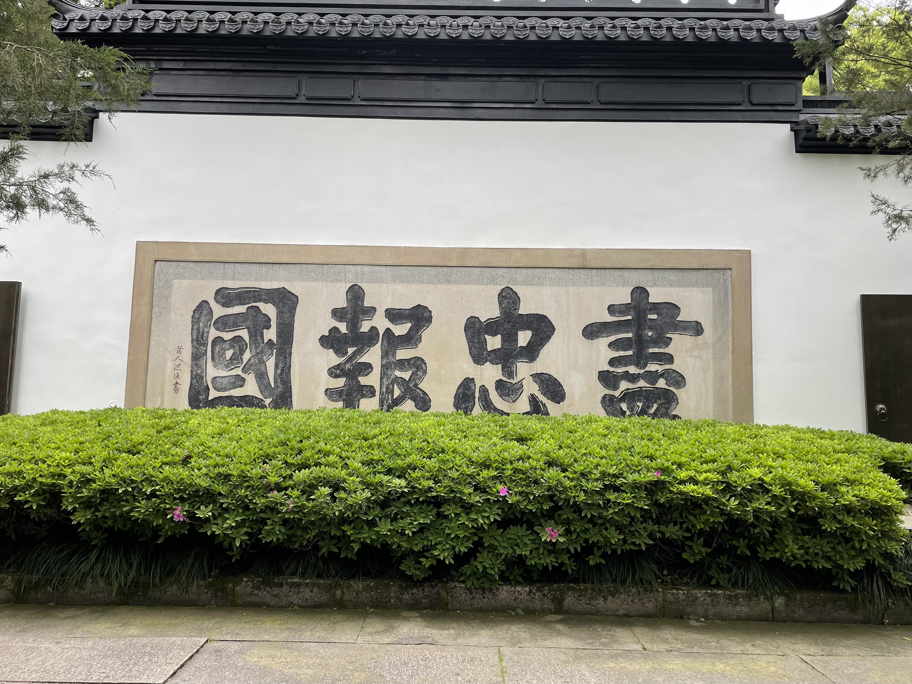 IMG_0367.jpeg