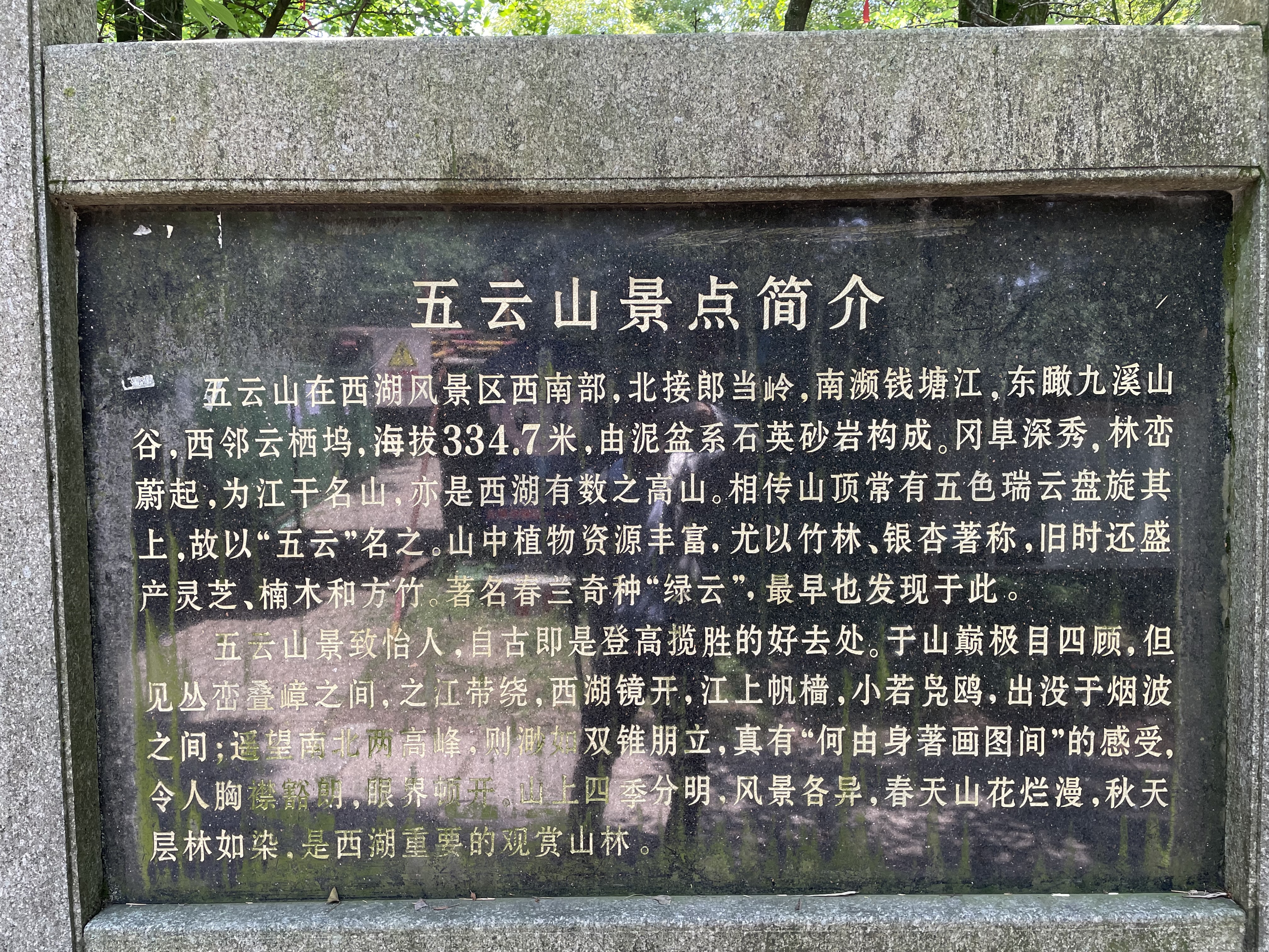IMG_1144.jpeg