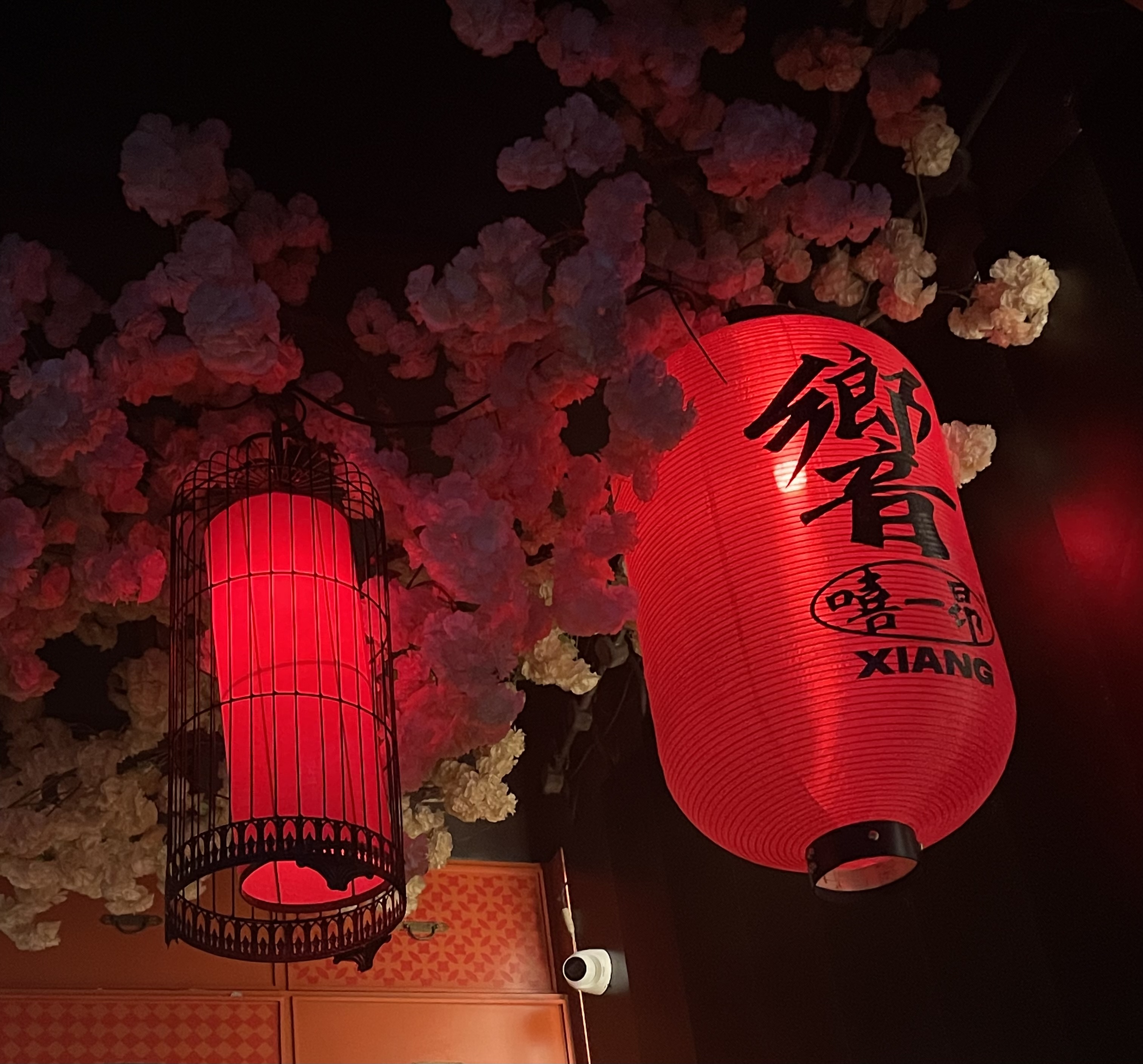 IMG_1321.jpeg