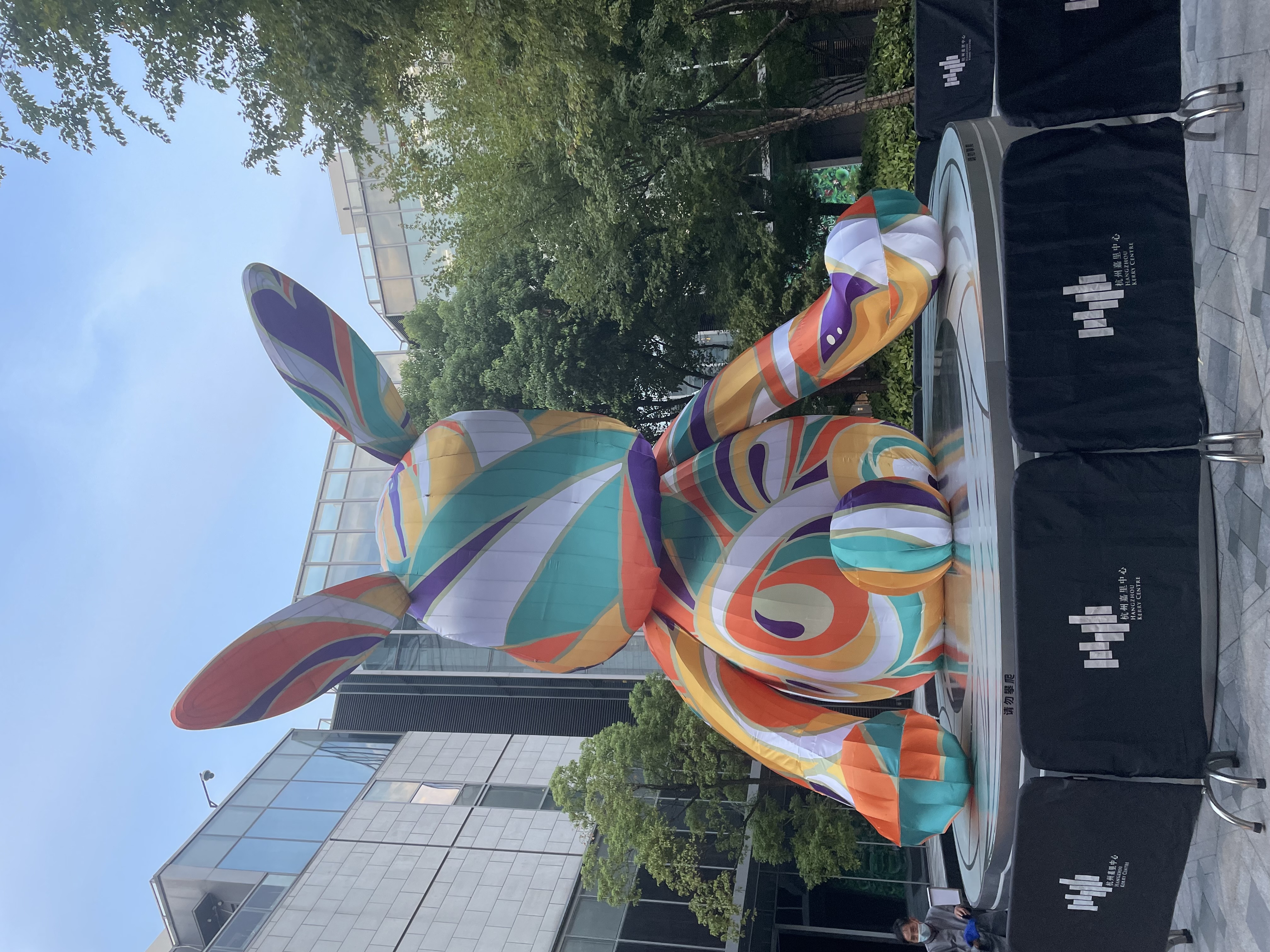 IMG_2555.jpeg