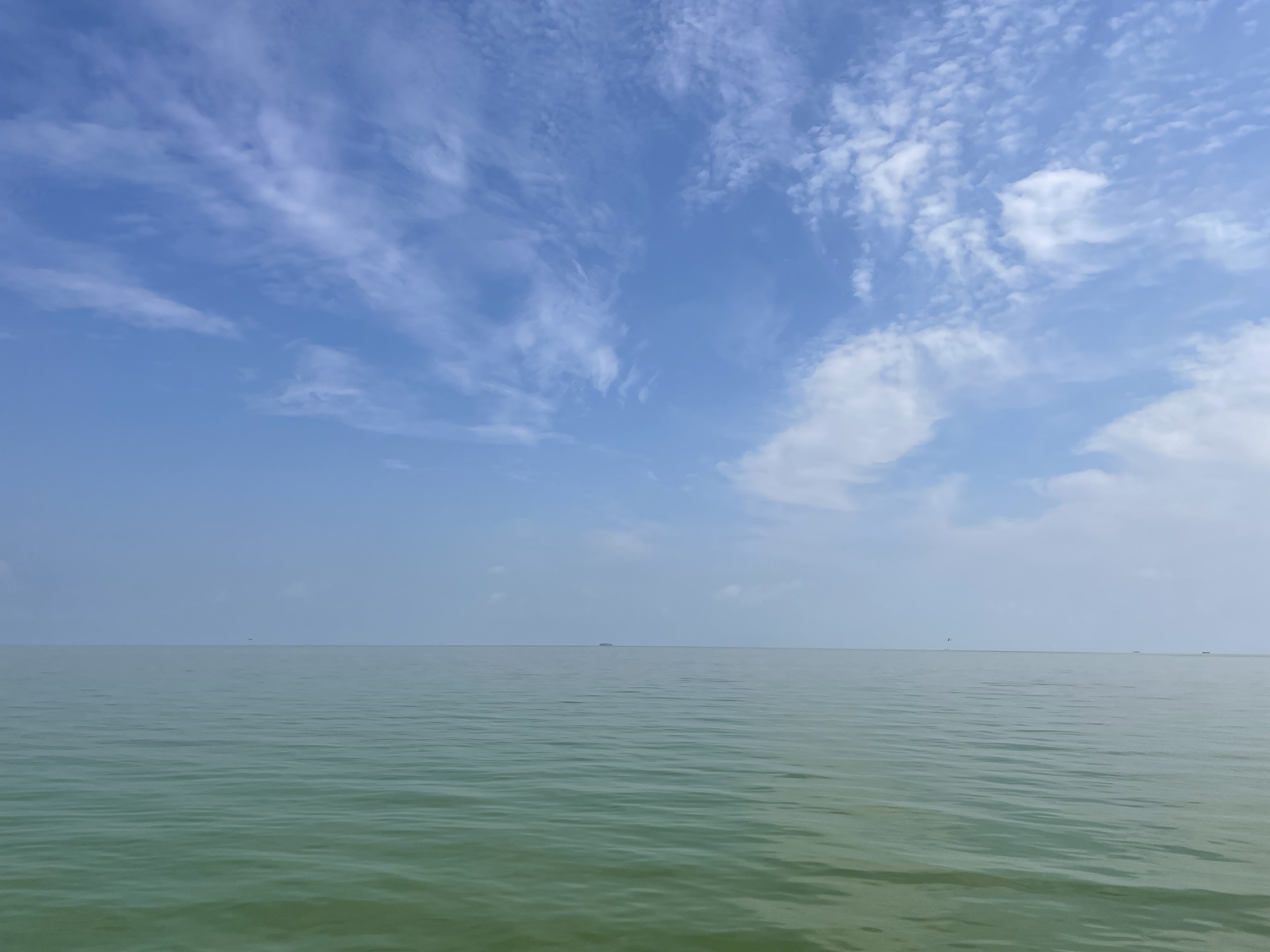 IMG_2589.jpeg
