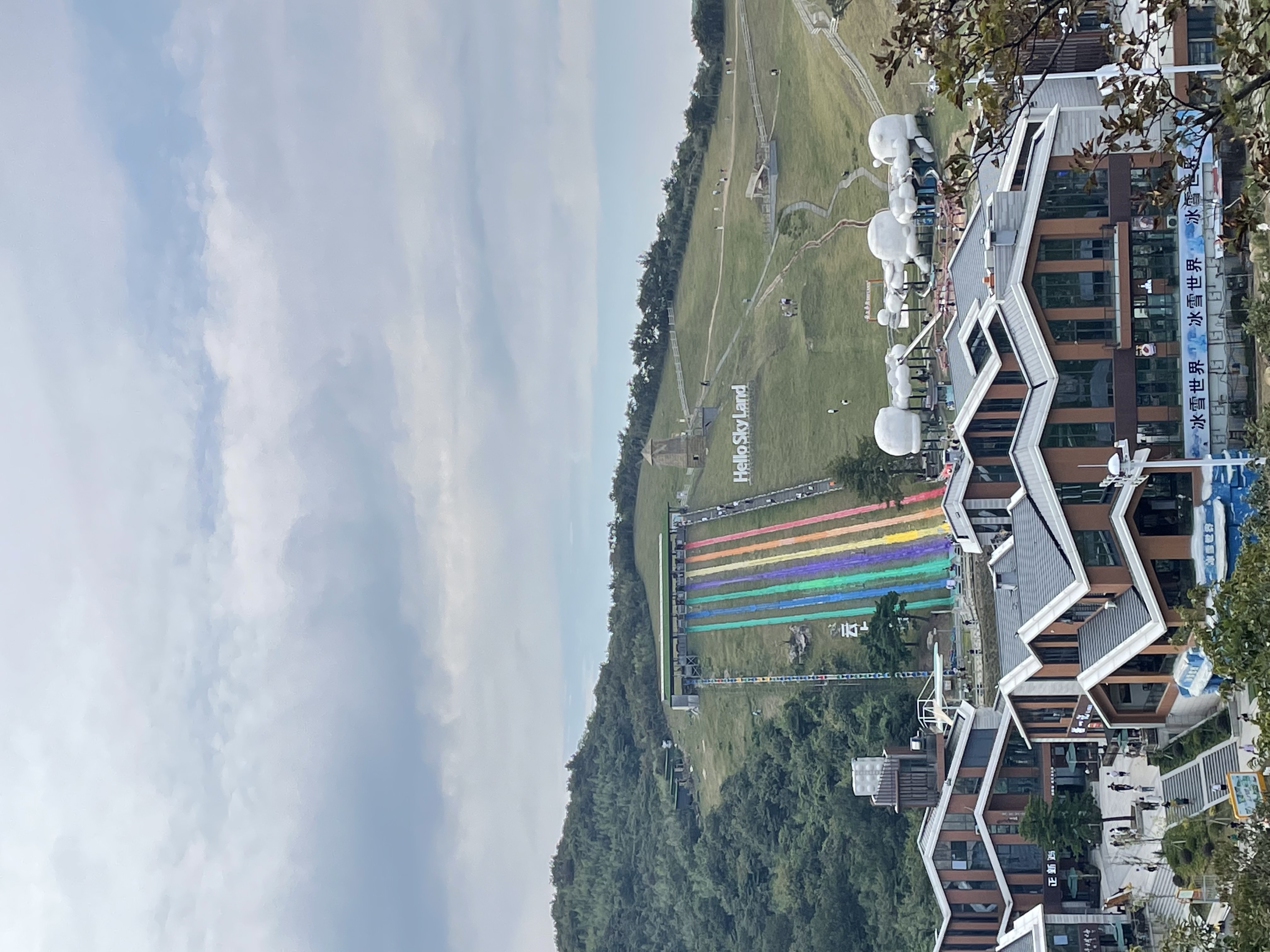 IMG_2594.jpeg