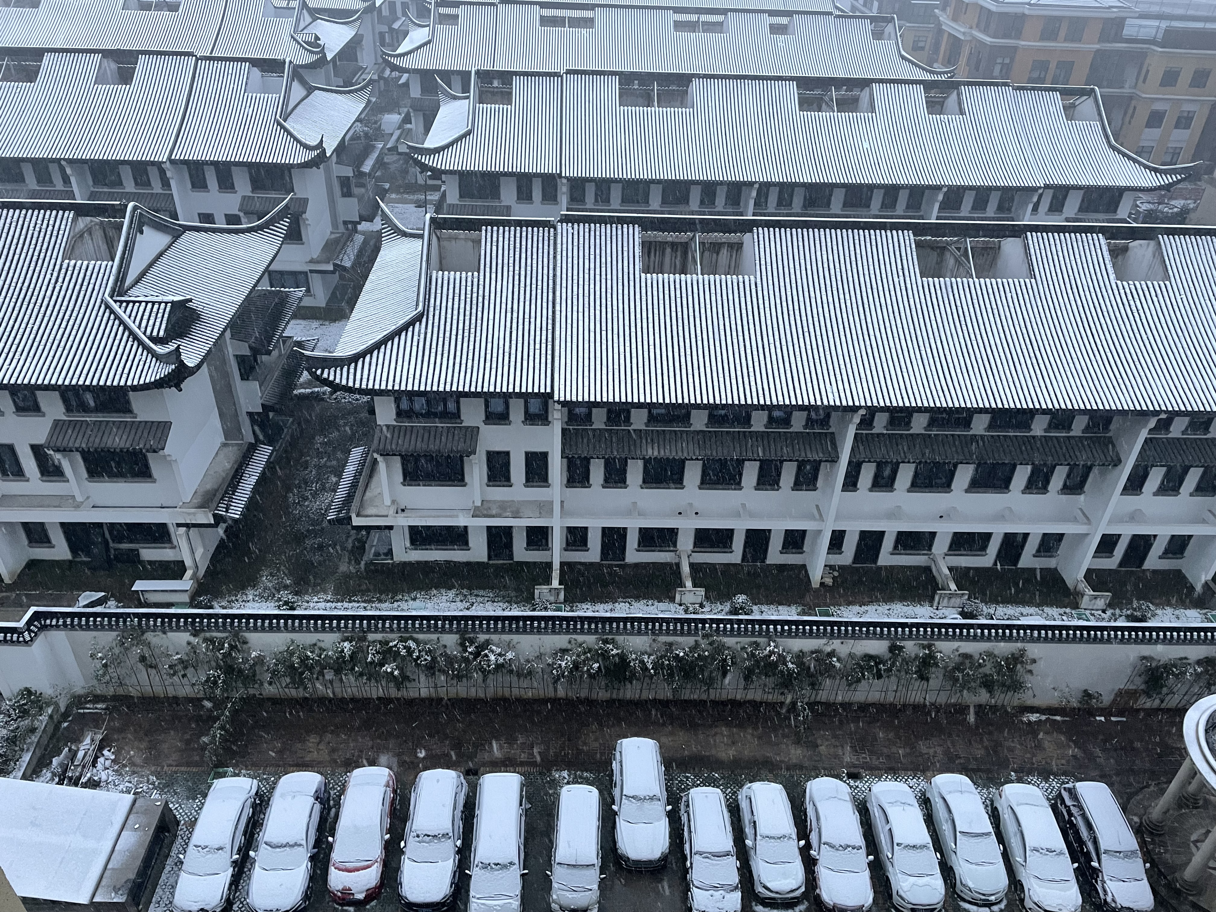 IMG_3690.jpeg