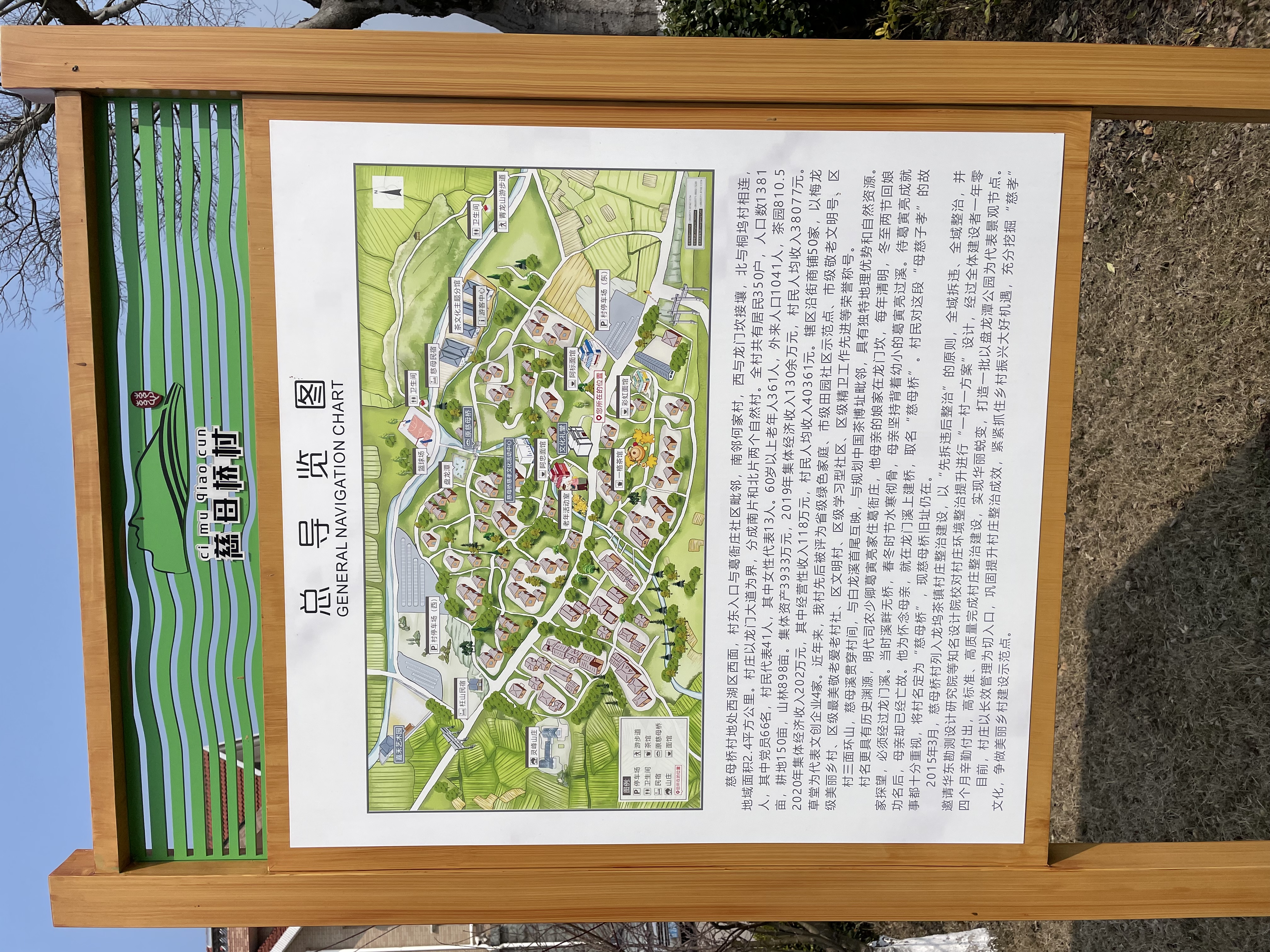 IMG_3717.jpeg