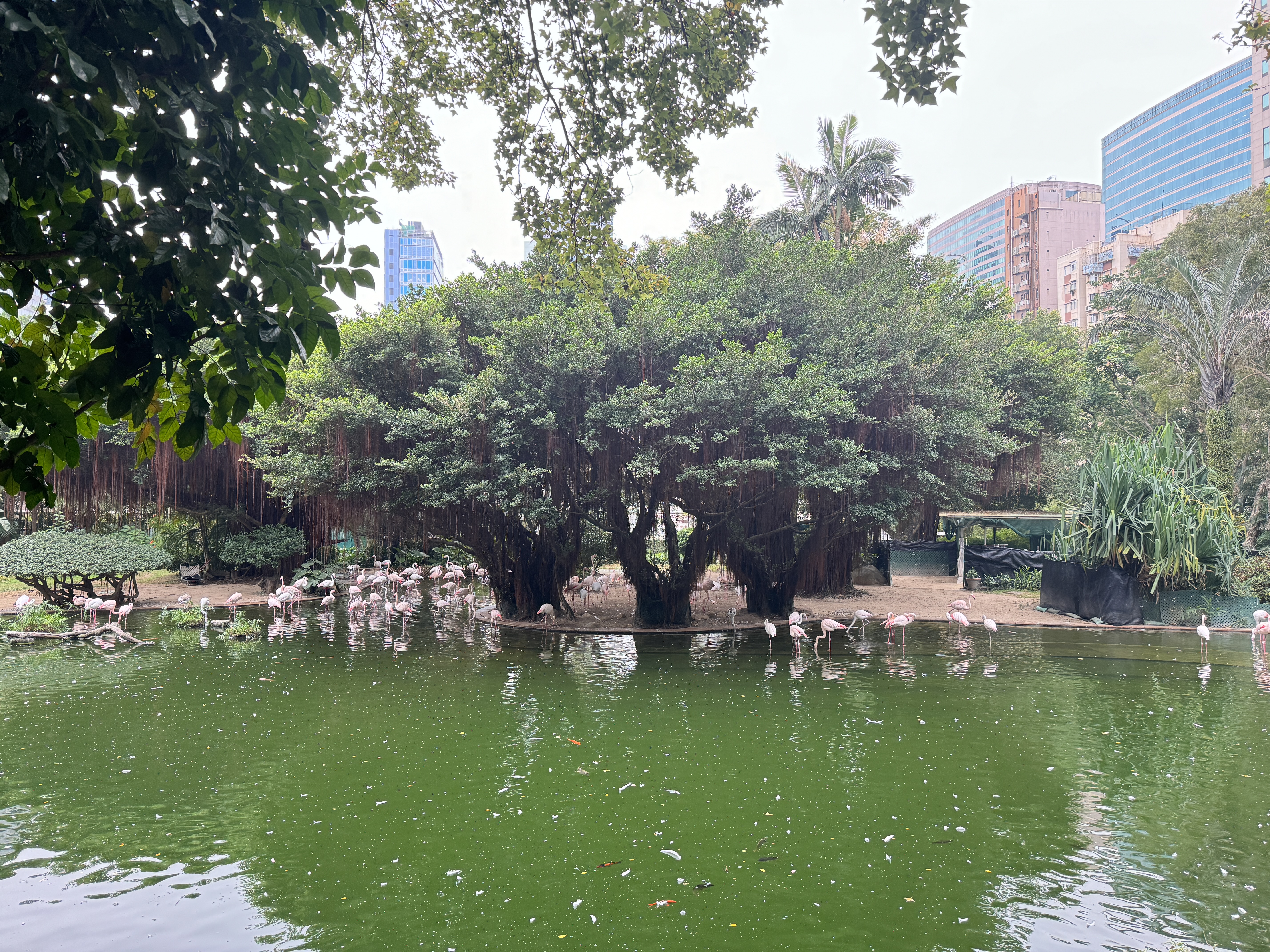 IMG_0486.jpeg