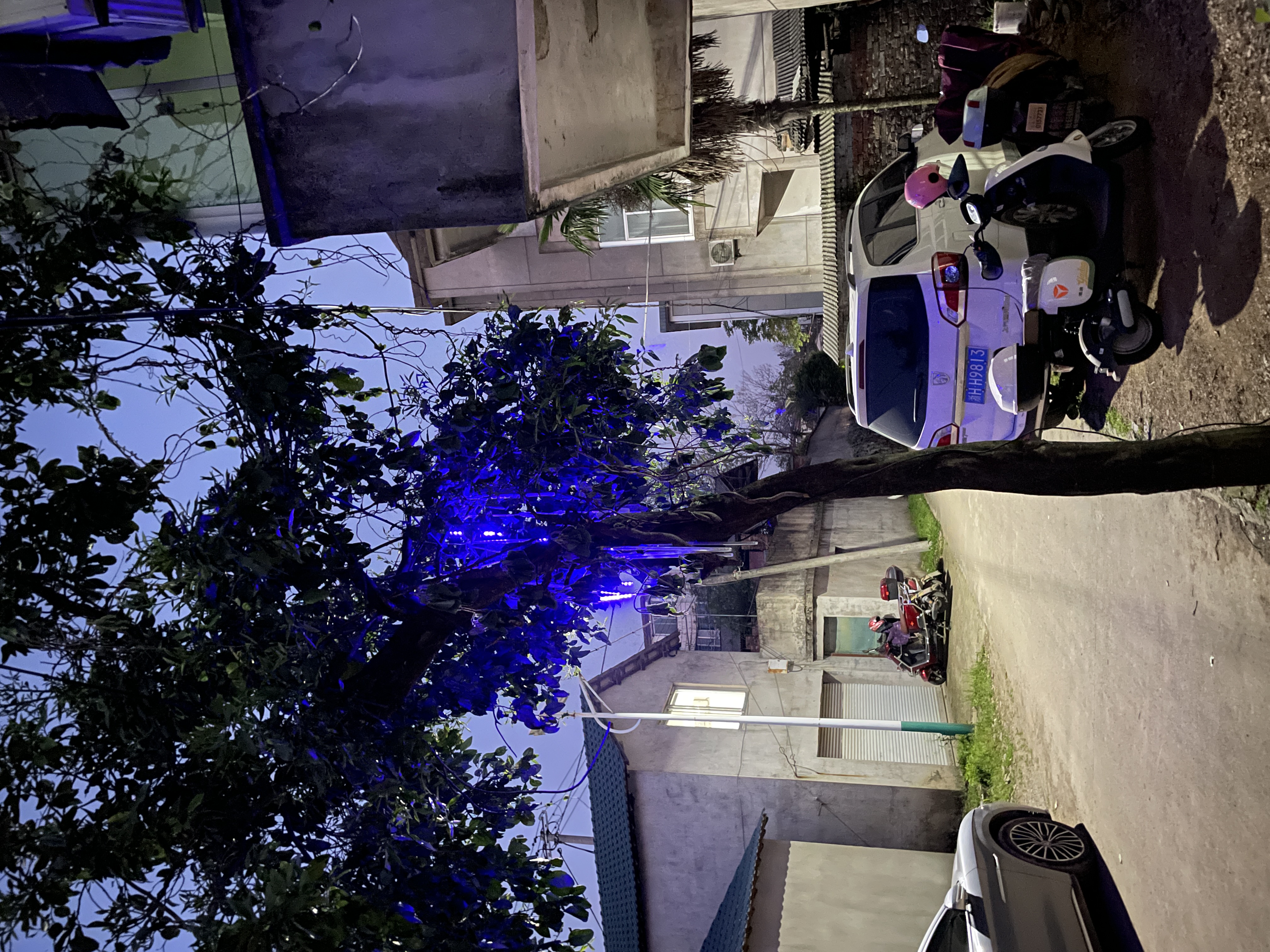 IMG_4541.jpeg