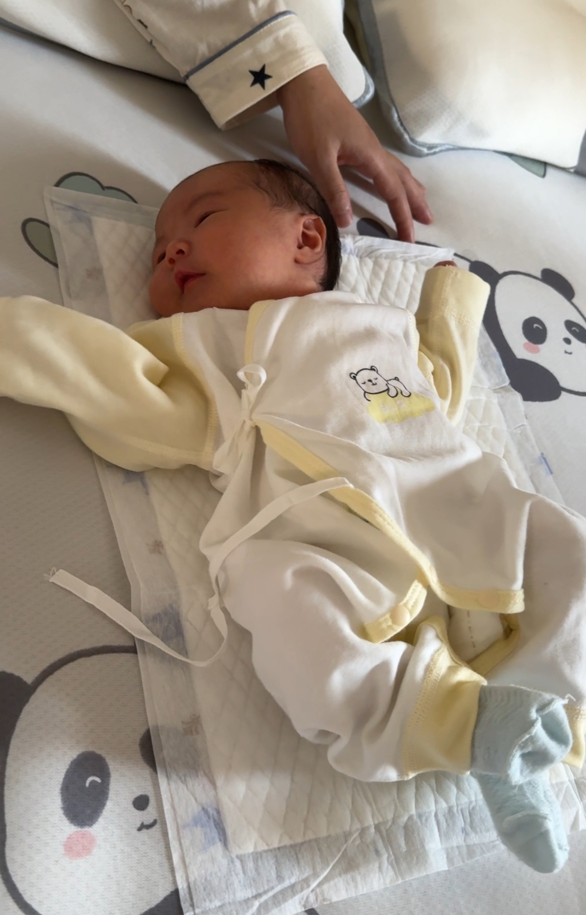 小海豚回家喽