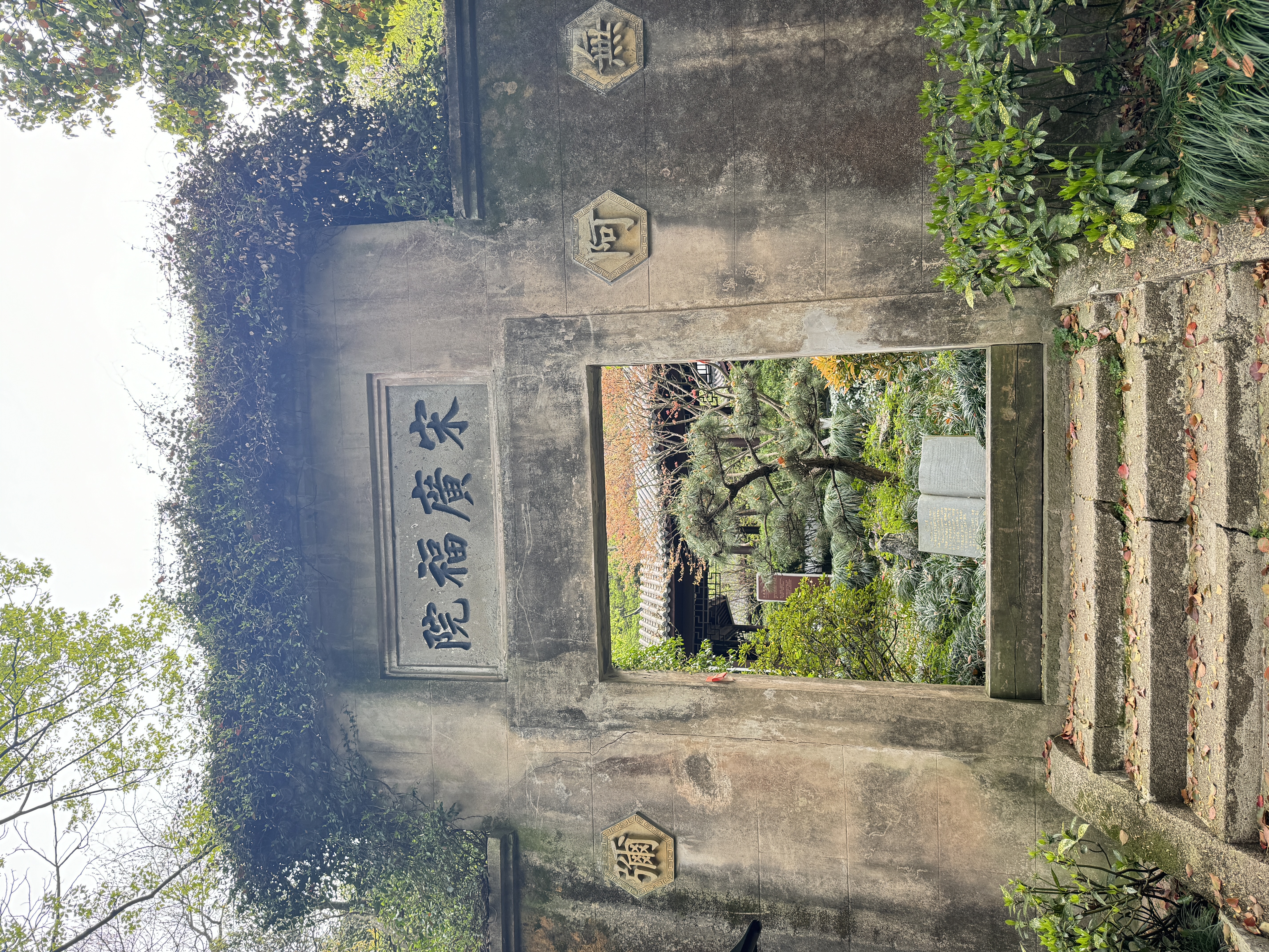IMG_十八棵御茶.jpeg