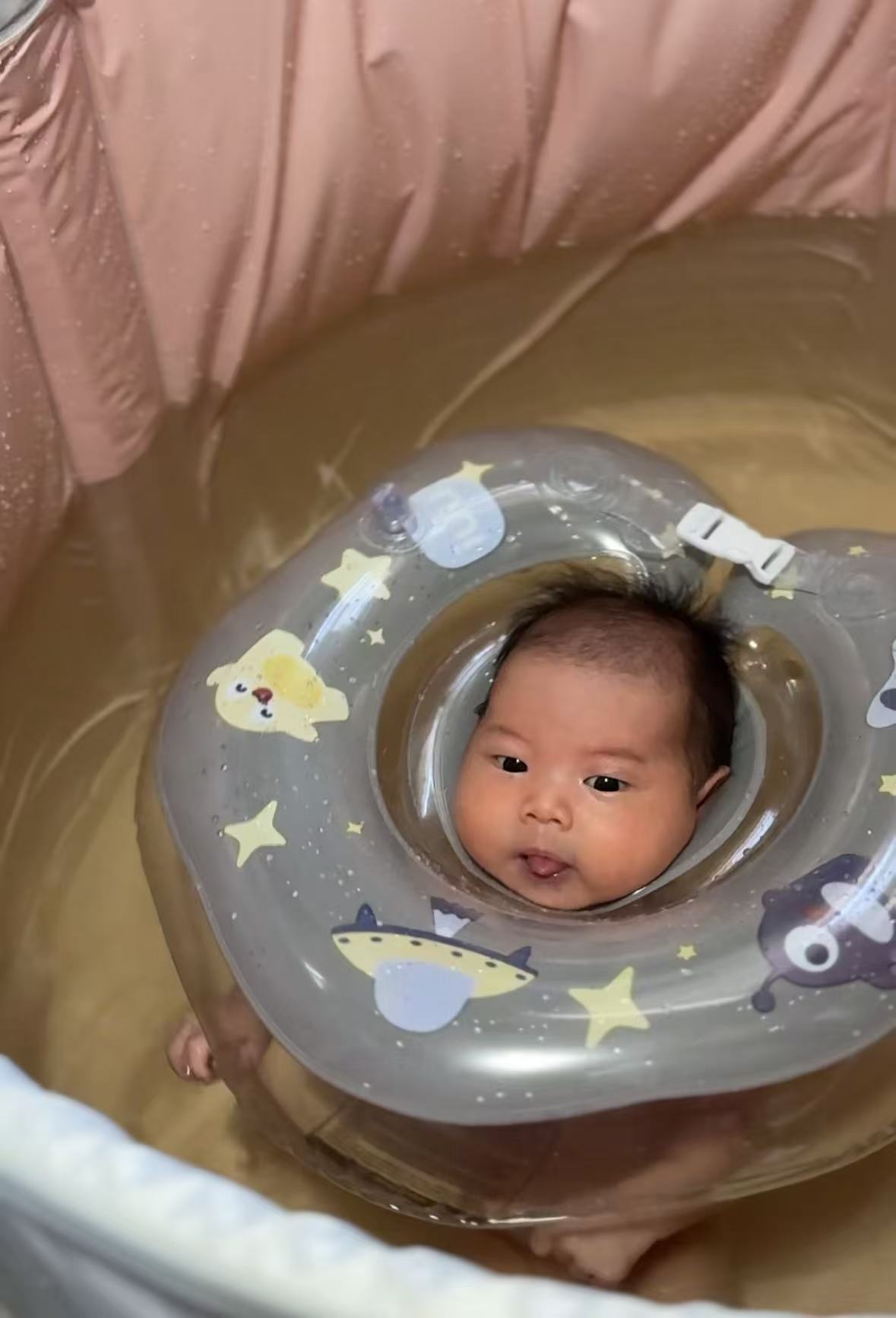 小海豚第一次游泳
