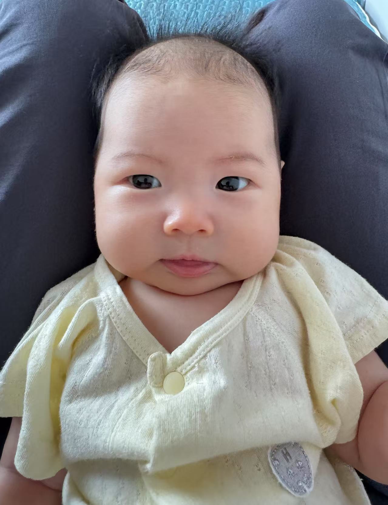 白白嫩嫩的小海豚