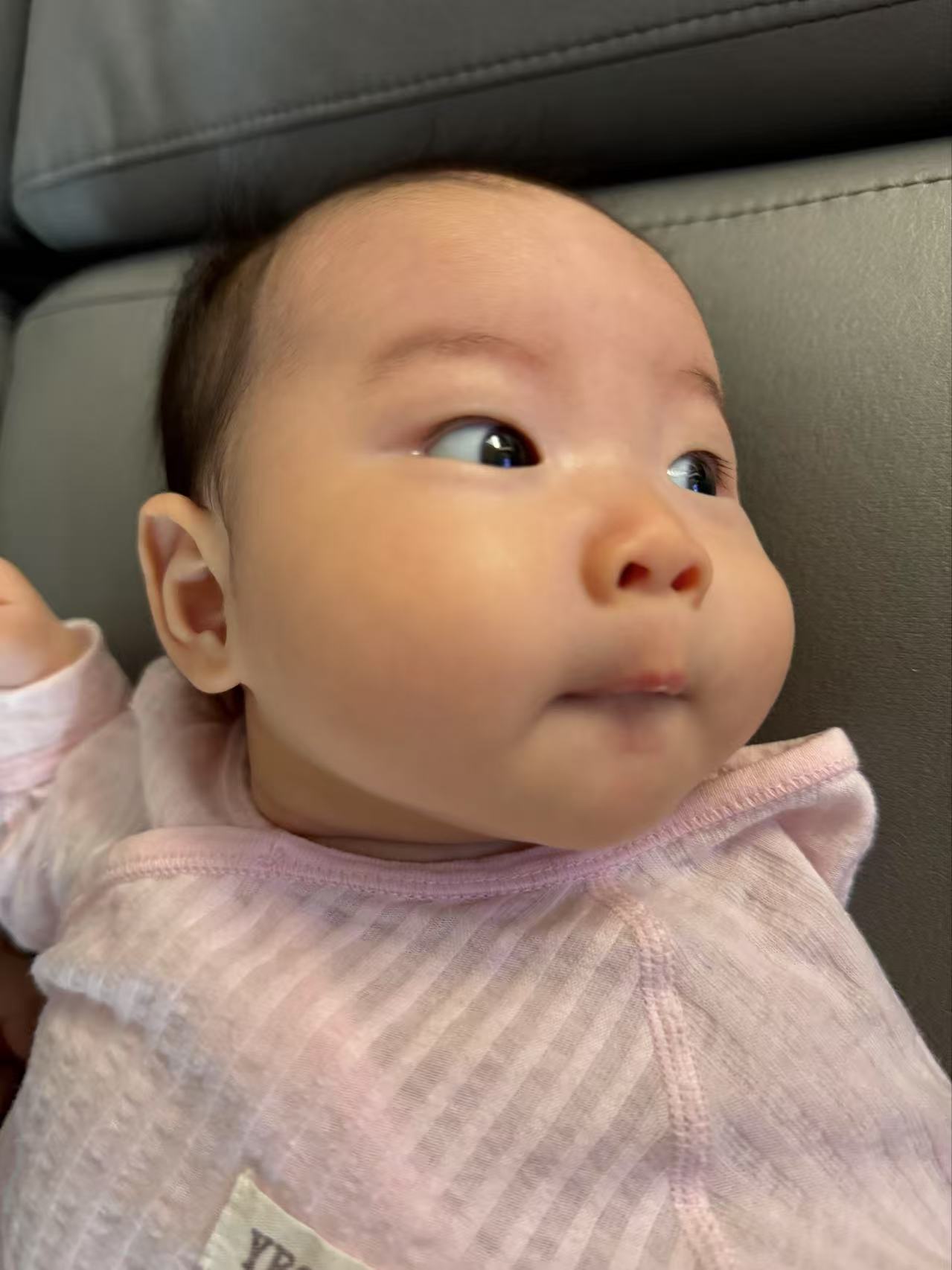 小海豚对什么都很有好奇心