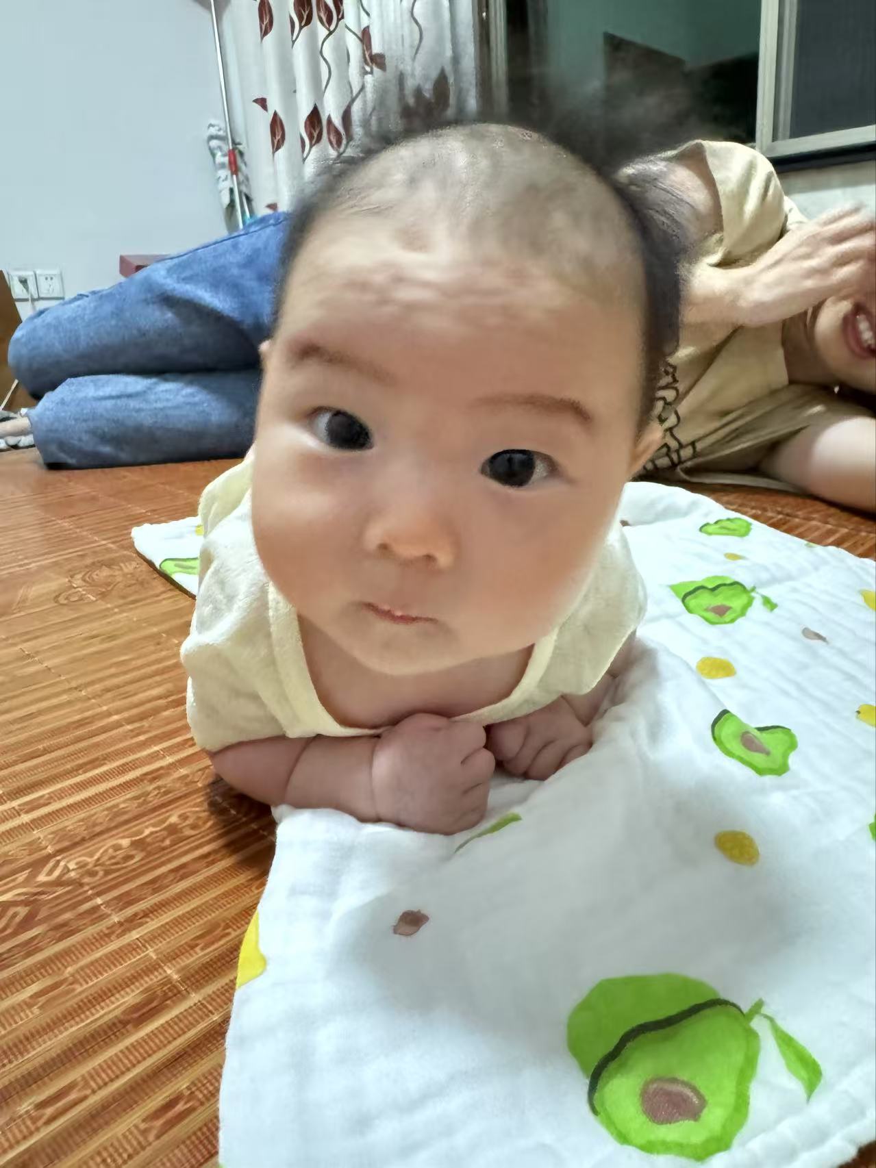 小海豚抬头已经抬得很好了