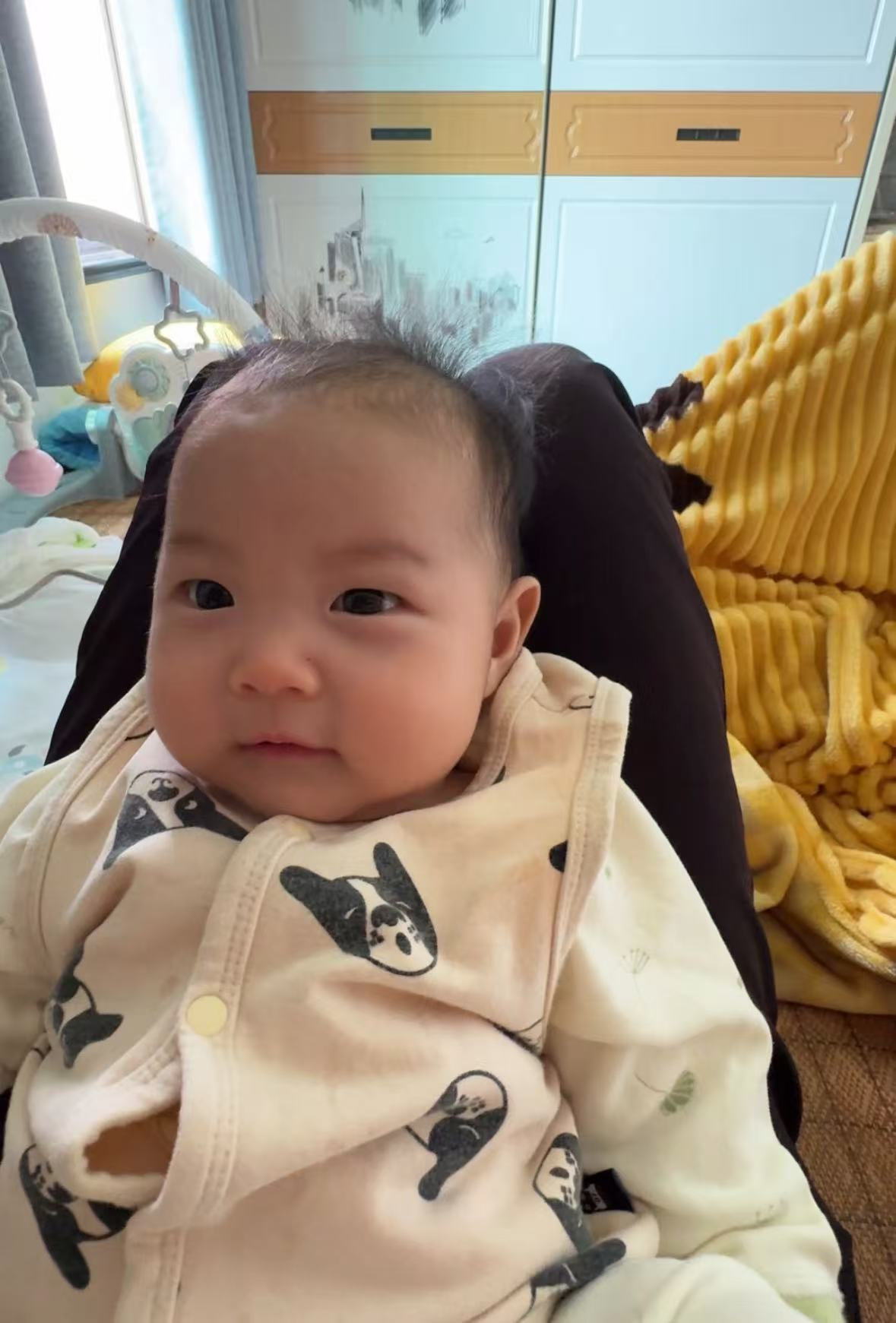 和小海豚对视
