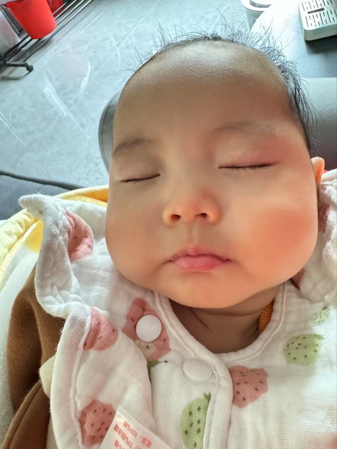 小海豚睡的很香