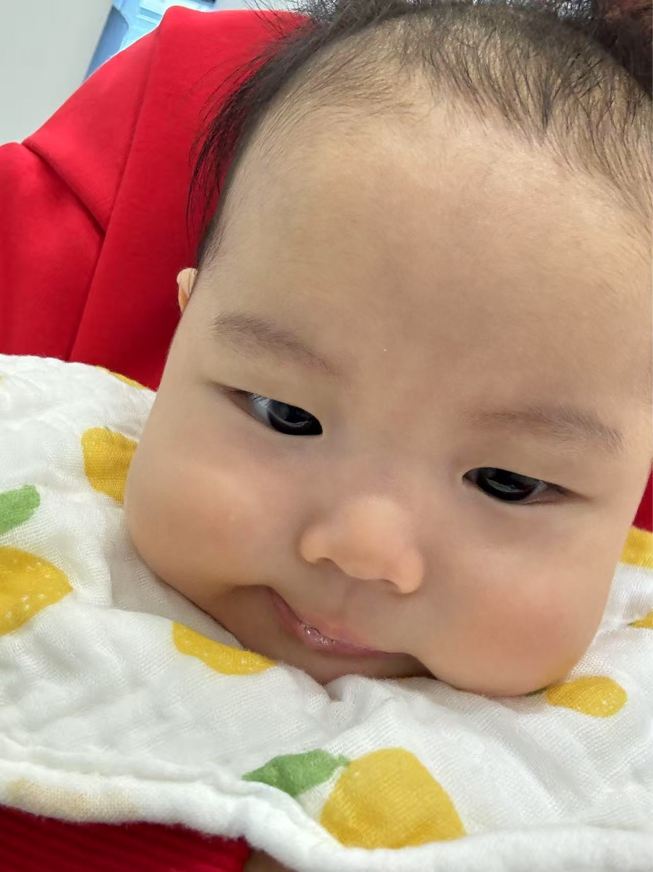 小海豚这个角度肉嘟嘟