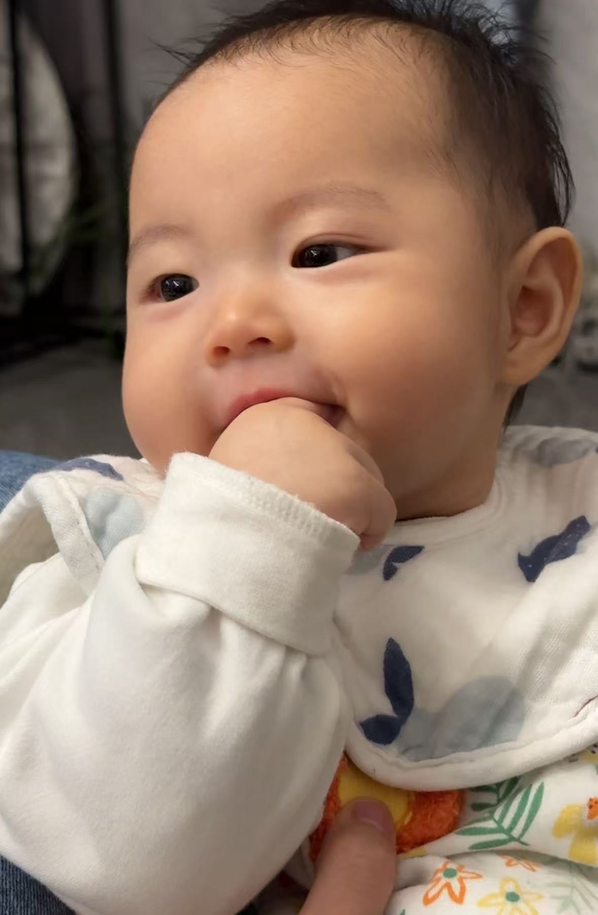 小海豚啃手指啃的很开心
