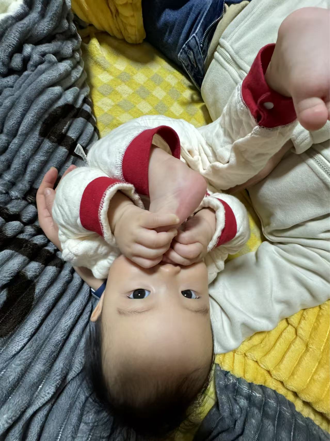 小海豚啃脚脚