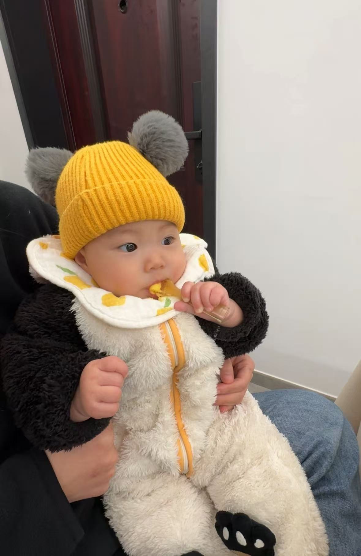 小海豚会自己吃饭了