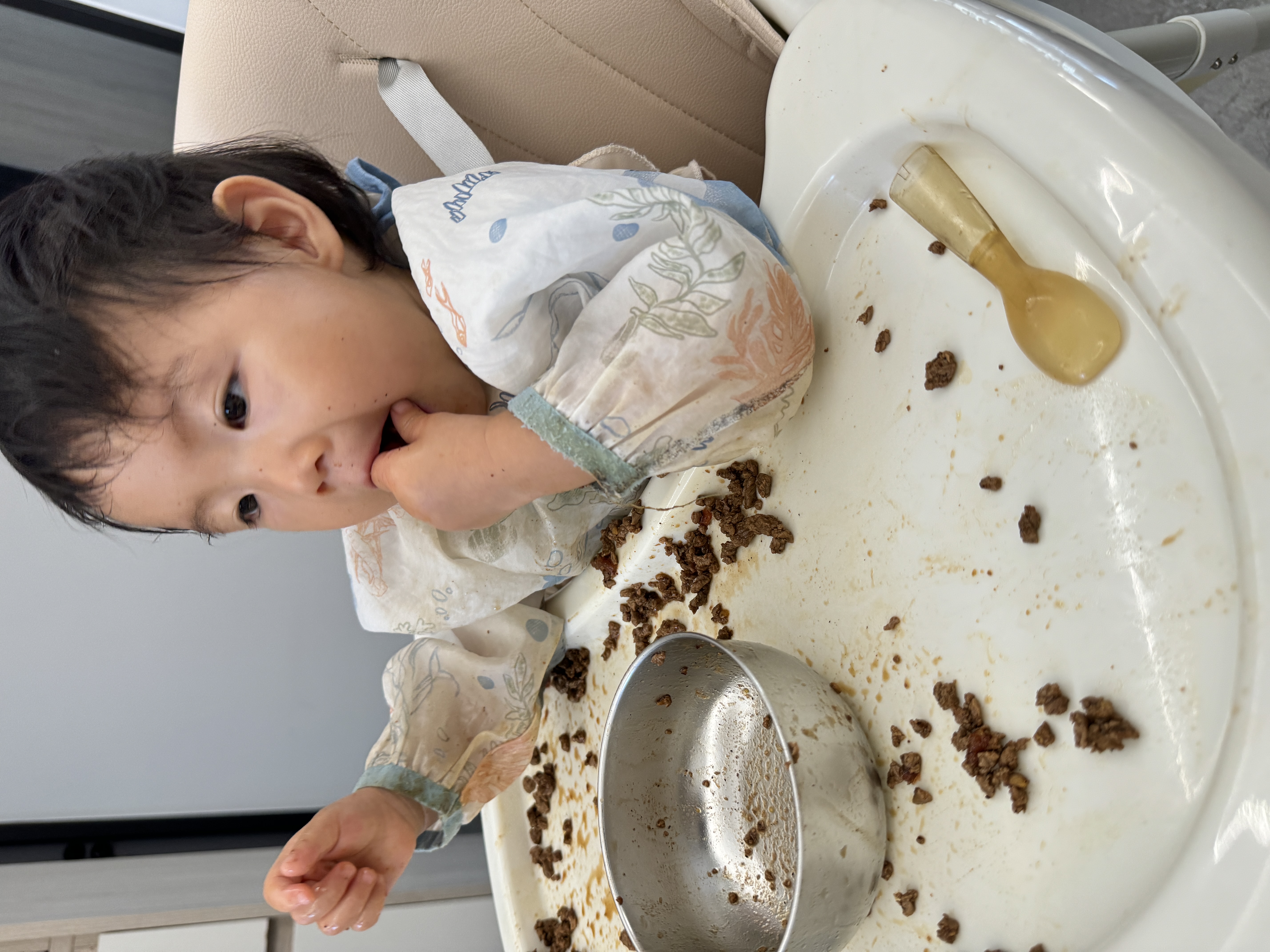 小海豚自己吃的很香