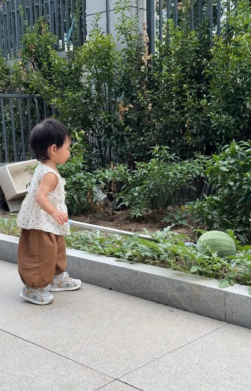 叉瓜